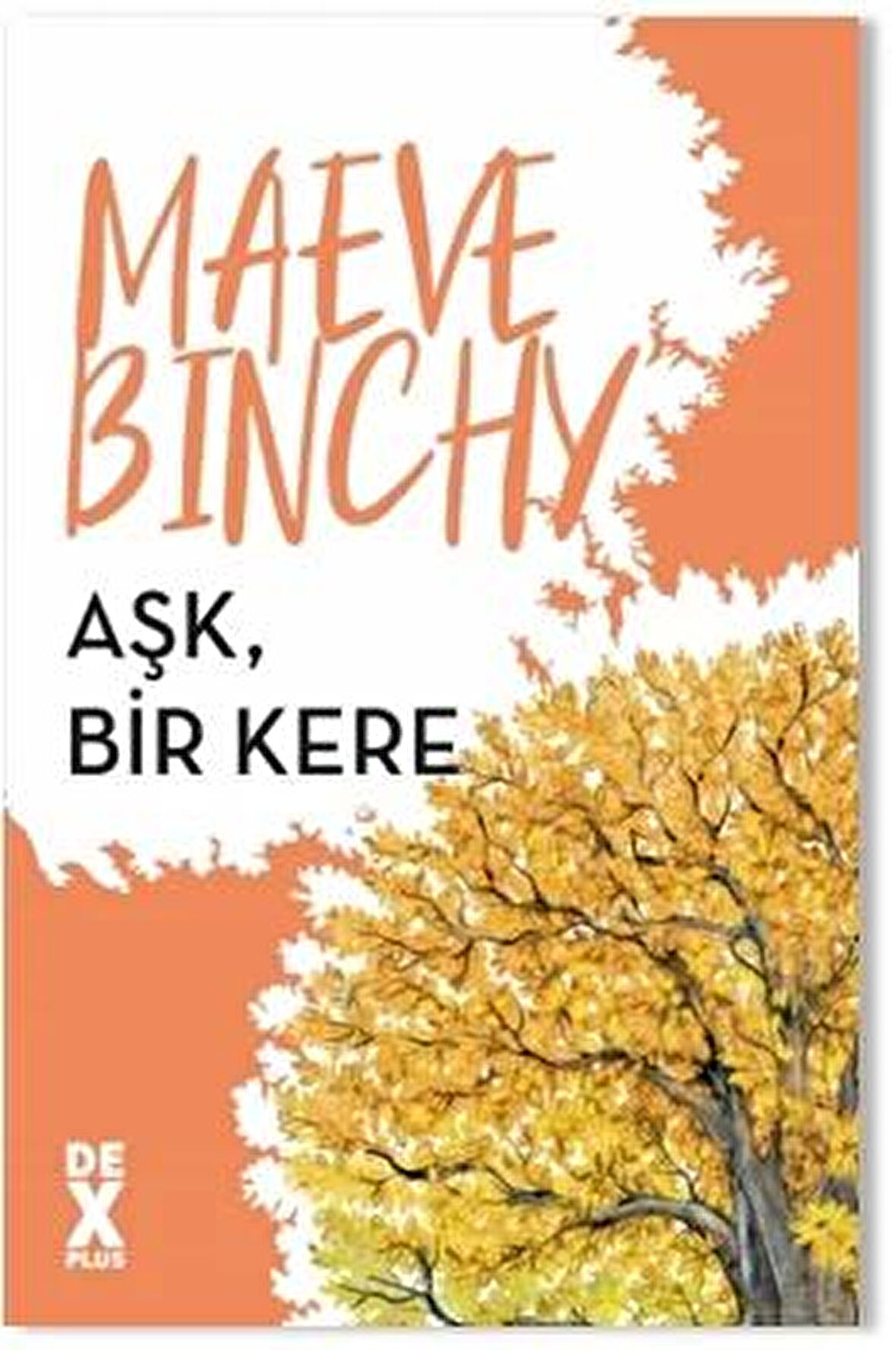 Aşk, Bir Kere