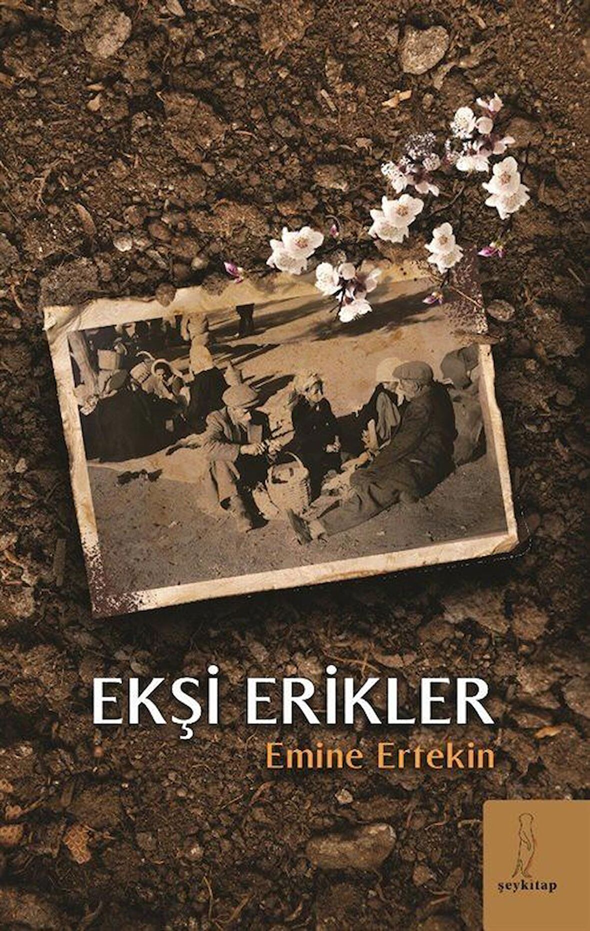 Ekşi Erikler