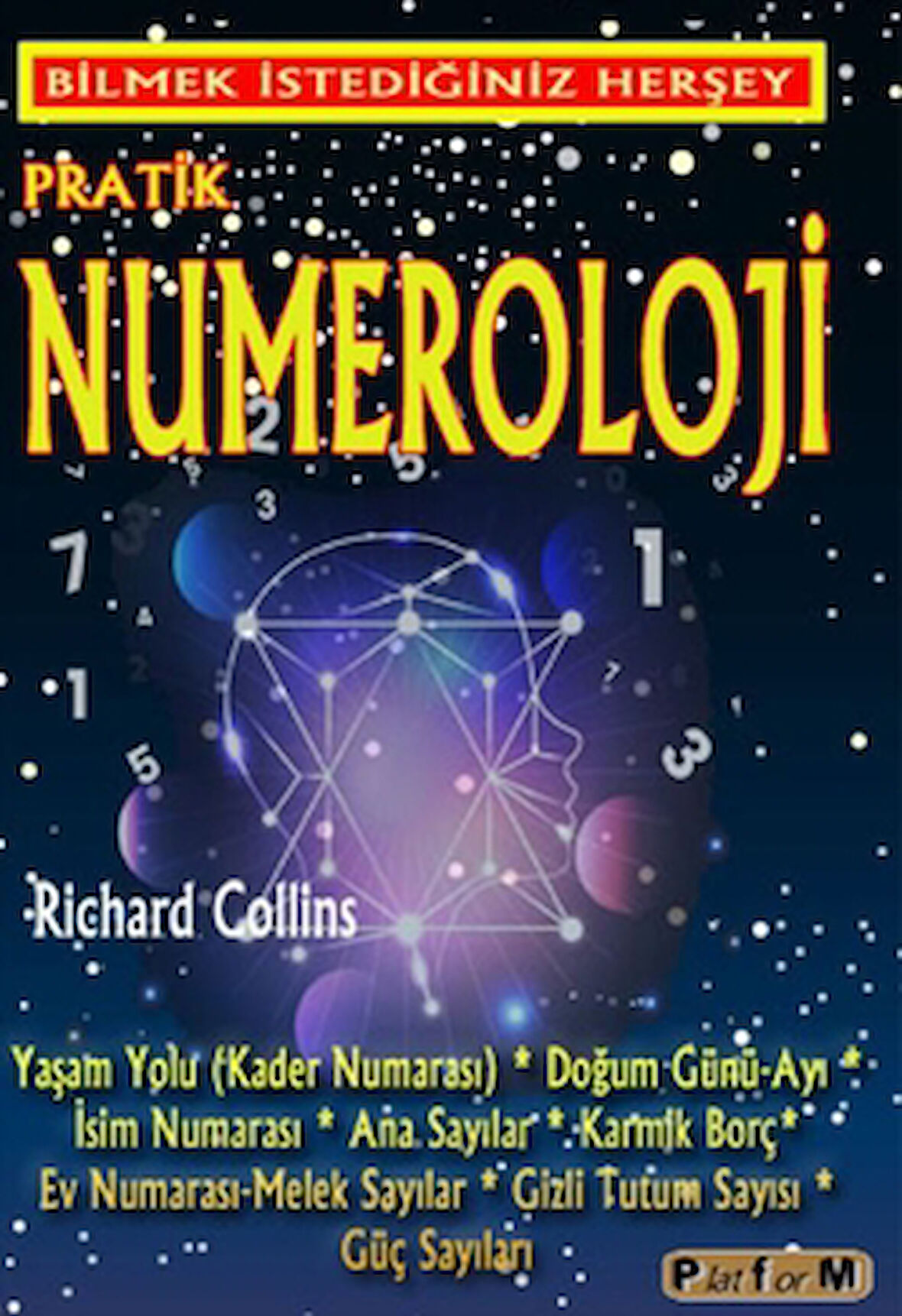 Pratik Numeroloji
