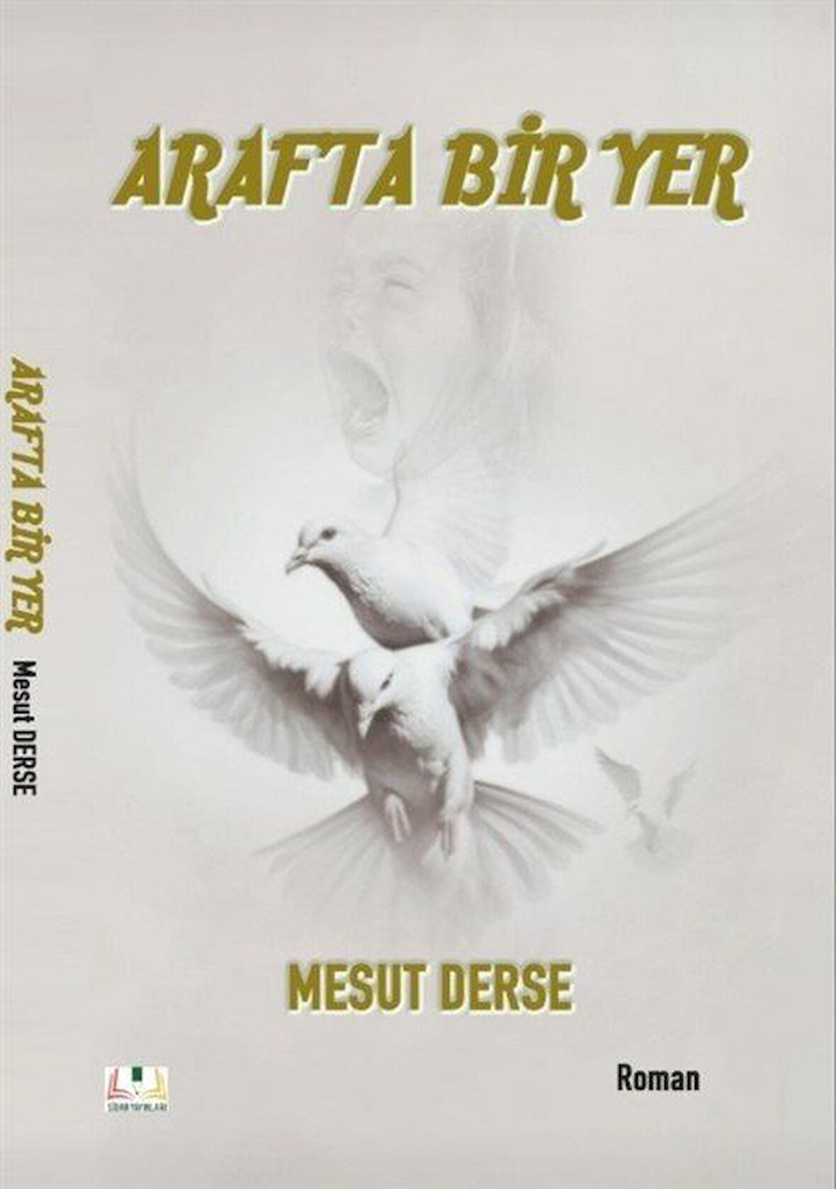 Araf'ta Bir Yer / Mesut Derse