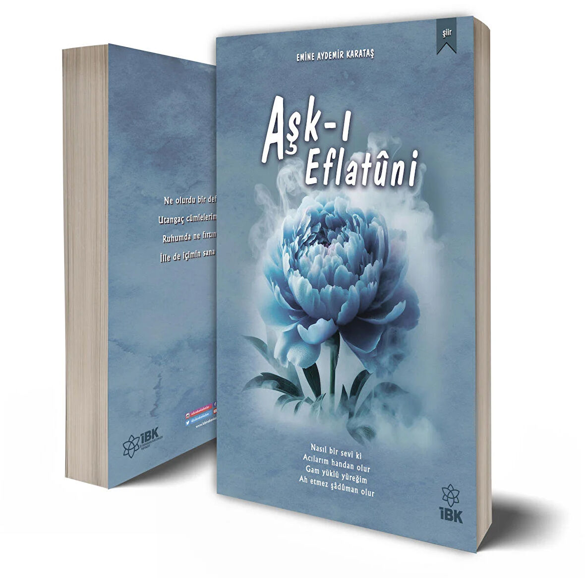 Aşkı Eflatuni