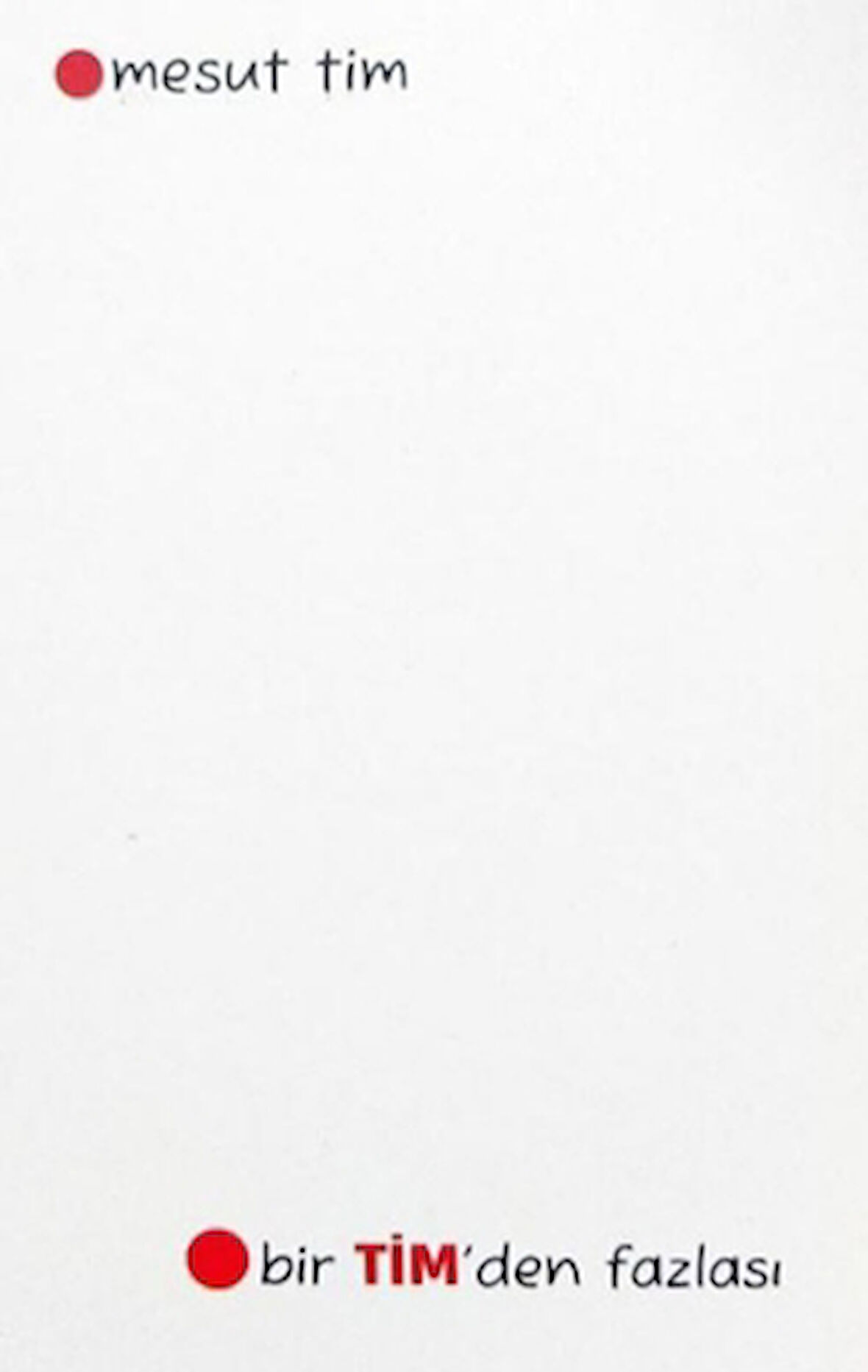 Bir TİM’den Fazlası