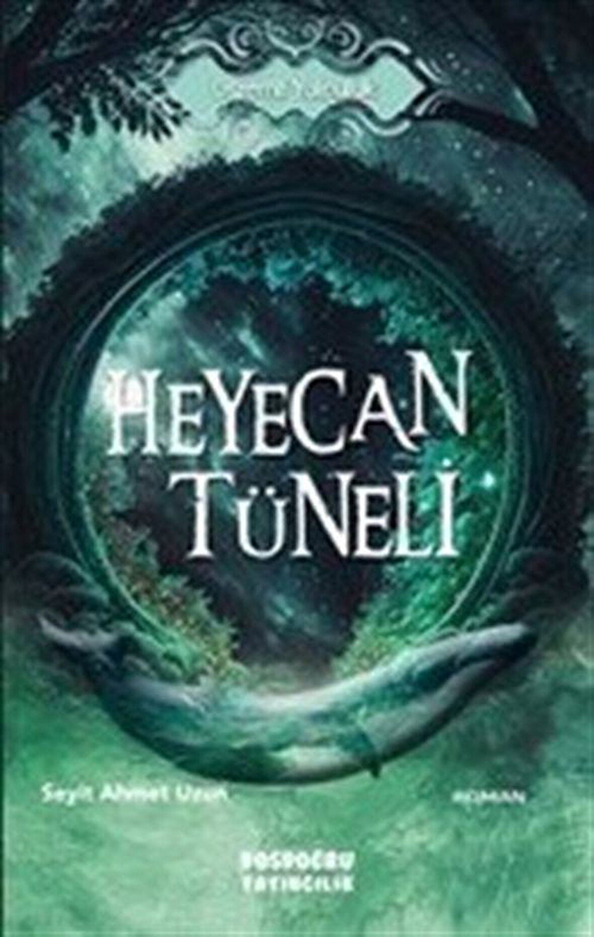 Heyecan Tüneli / Seyit Ahmet Uzun