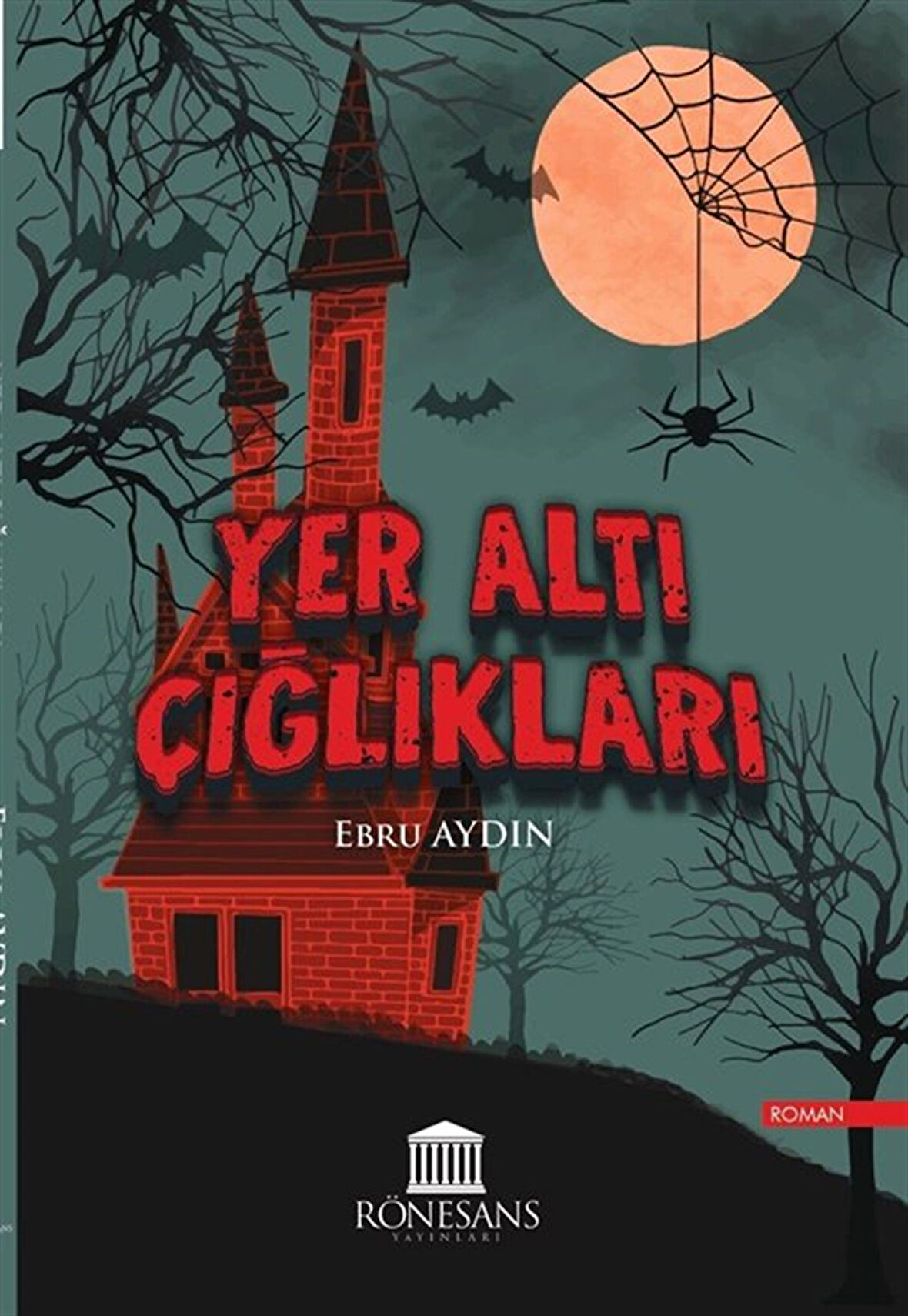 Yer Altı Çığlıkları / Ebru Aydın
