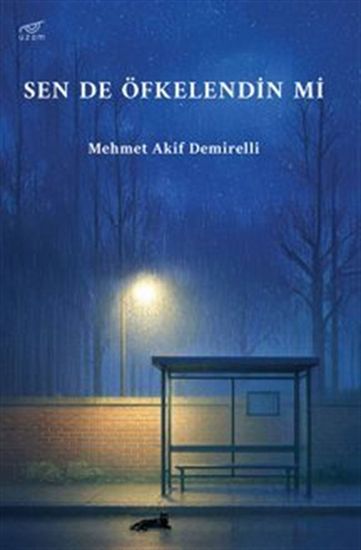 Sen de Öfkelendin mi / Mehmet Akif Demirelli