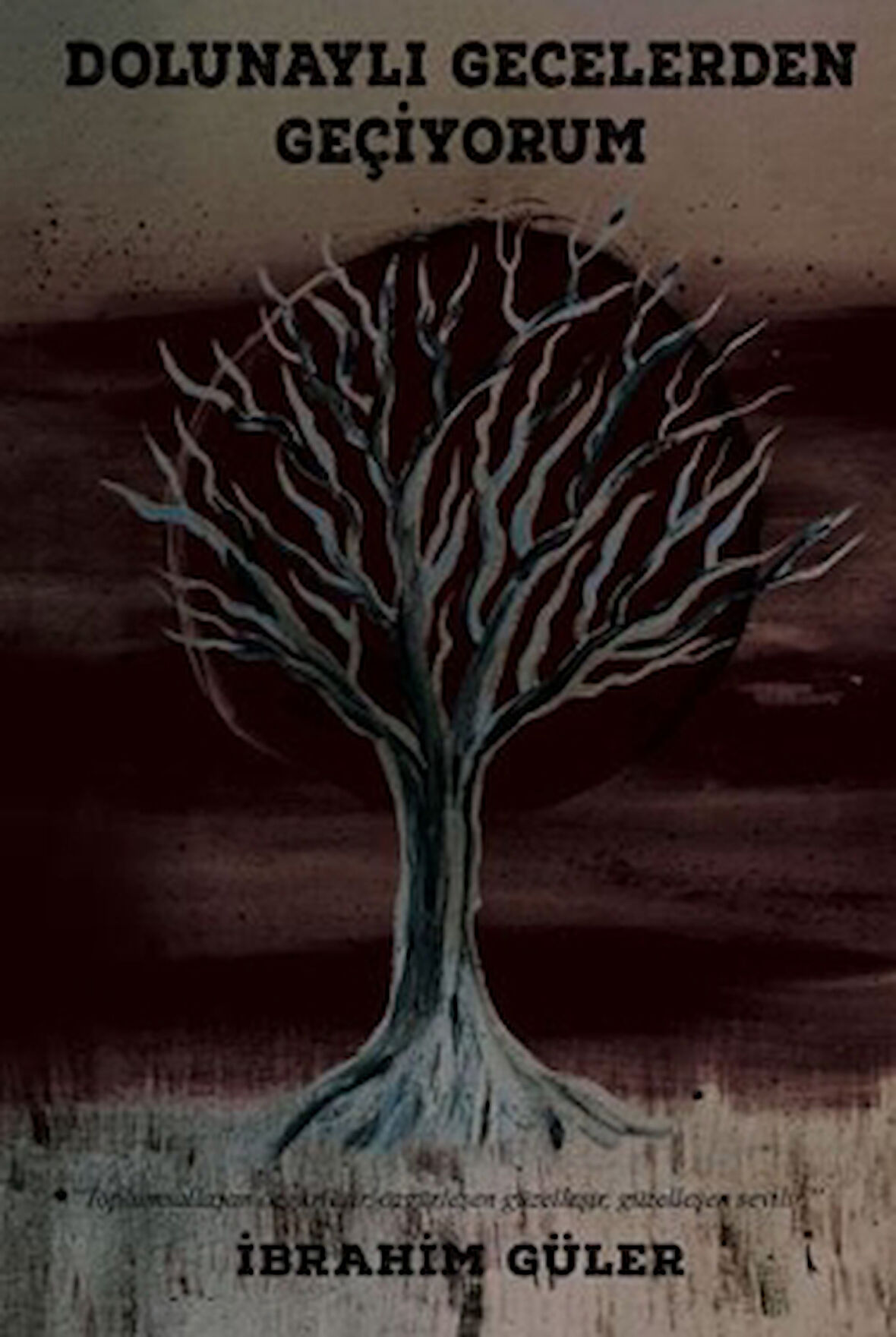 Dolunaylı Gecelerden Geçiyorum