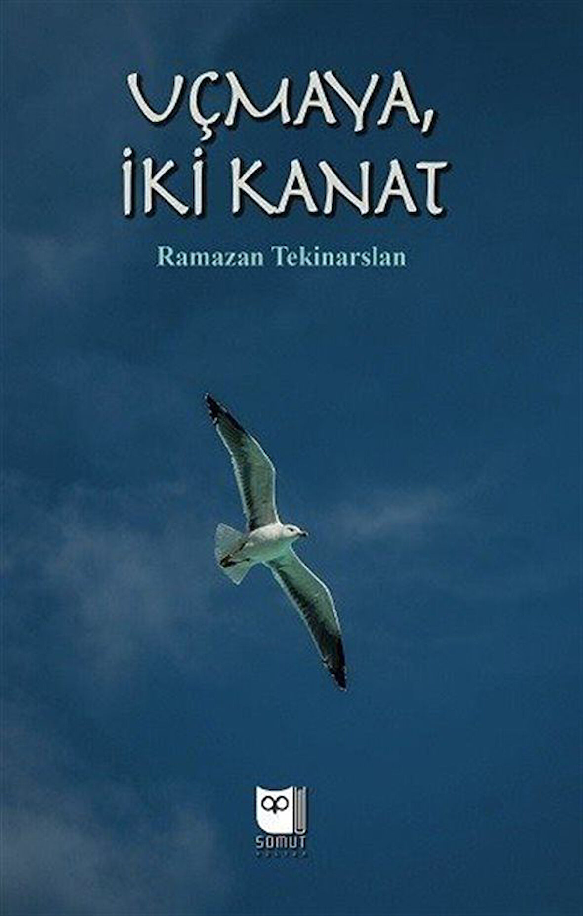 Uçmaya İki Kanat / Ramazan Tekinaslan