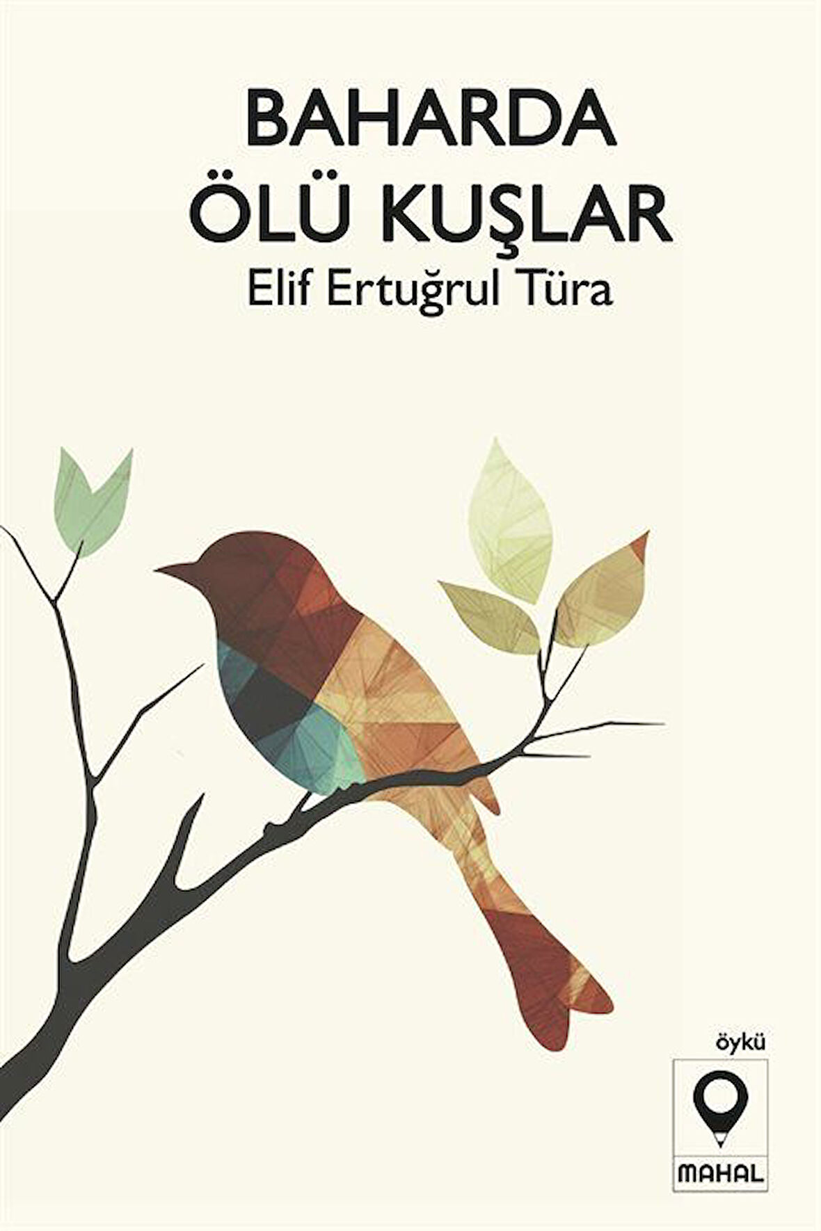 Baharda Ölü Kuşlar / Elif Ertuğrul Türa
