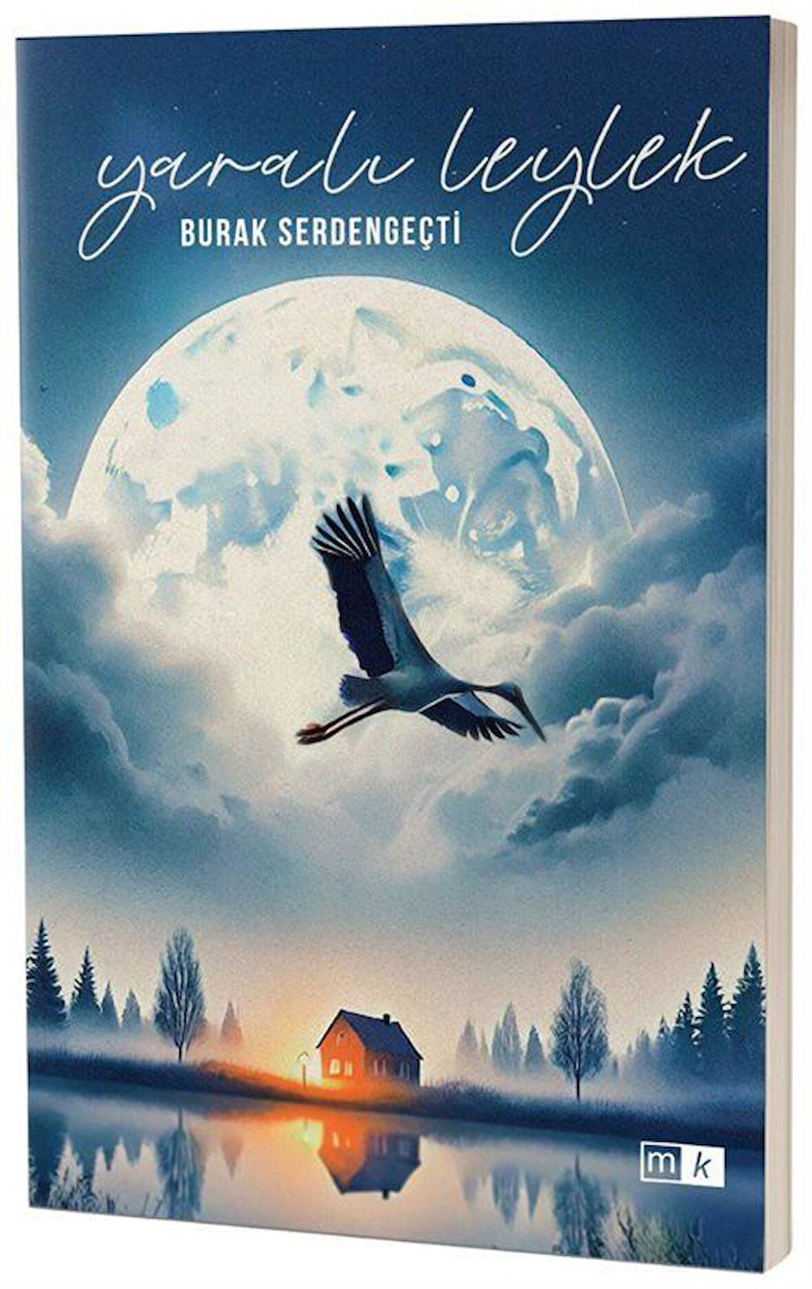 Yaralı Leylek & İlk Gençlik Öyküleri / Burak Serdengeçti