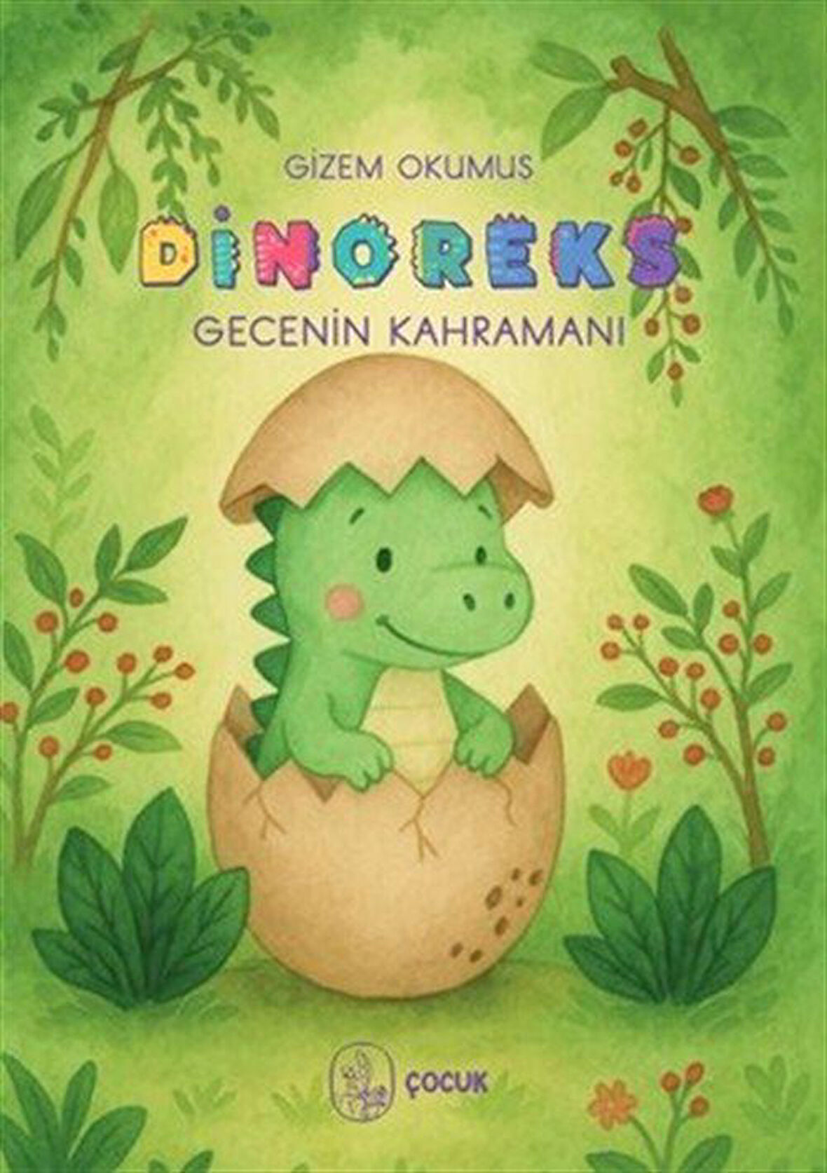 Dinoreks Gecenin Kahramanı / Gizem Okumuş