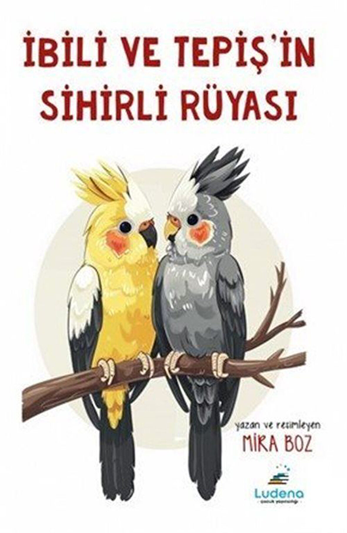 İbili ve Tepiş'in Sihirli Rüyası / Mira Boz