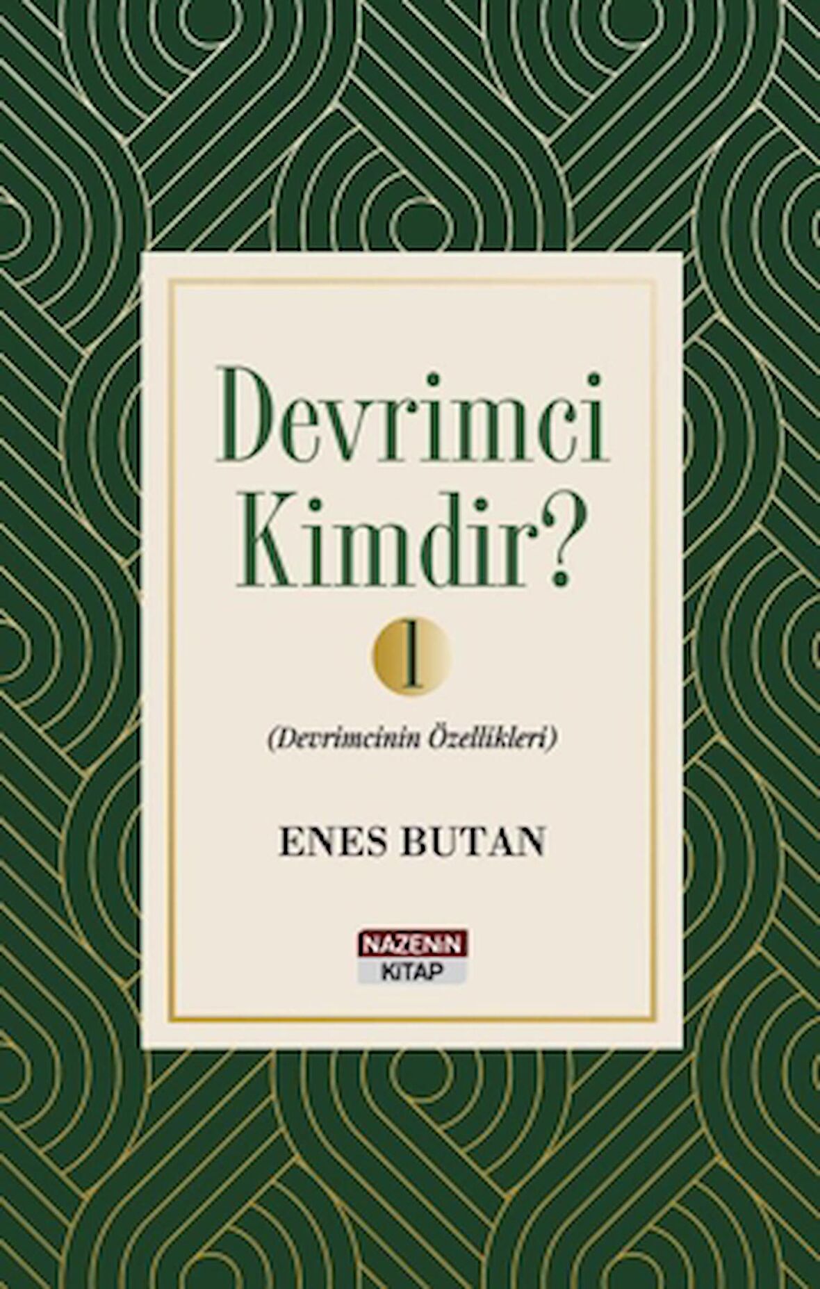 Devrimci Kimdir 1 - Devrimcinin Özellikleri