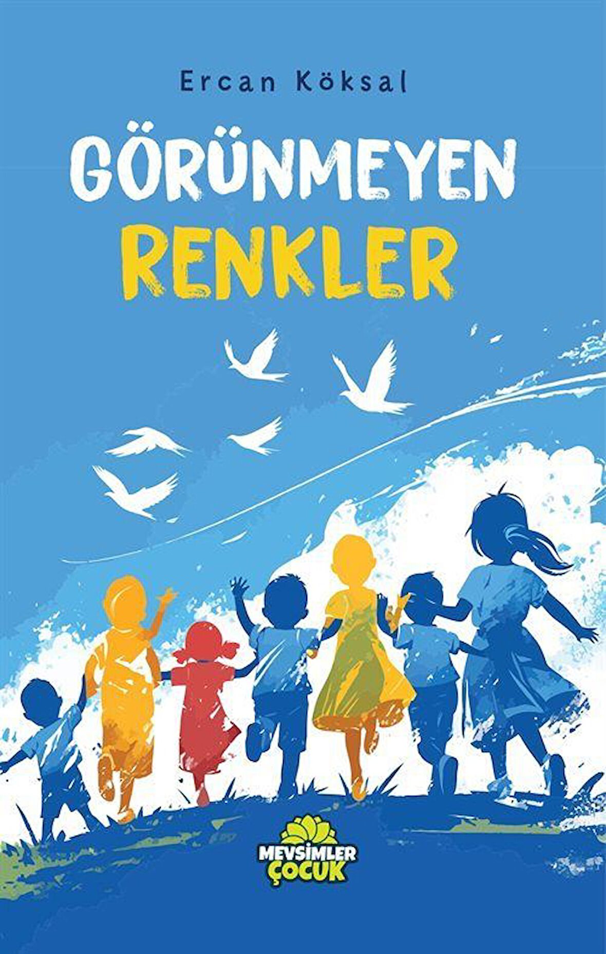 Görünmeyen Renkler / Ercan Köksal