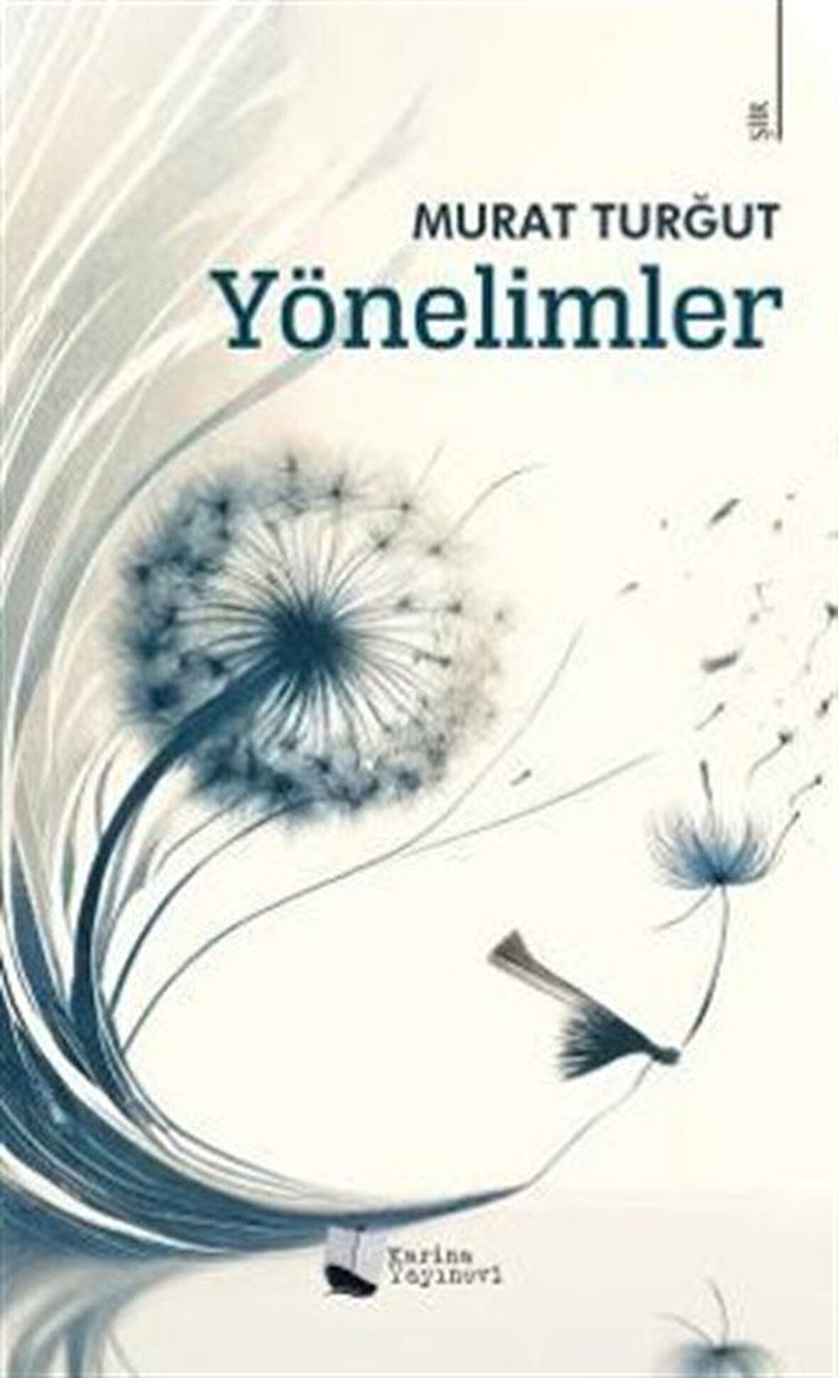 Yönelimler / Murat Turğut