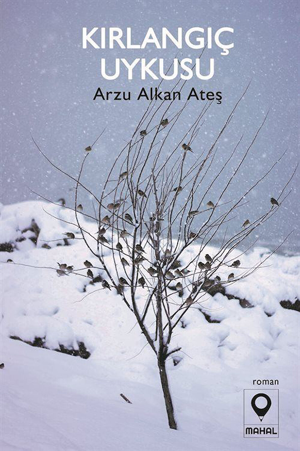 Kırlangıç Uykusu / Arzu Alkan Ateş