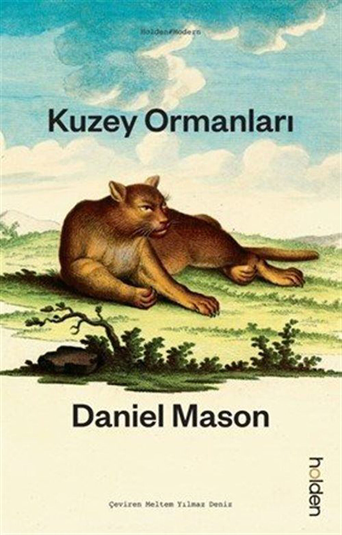 Kuzey Ormanları / Daniel Mason