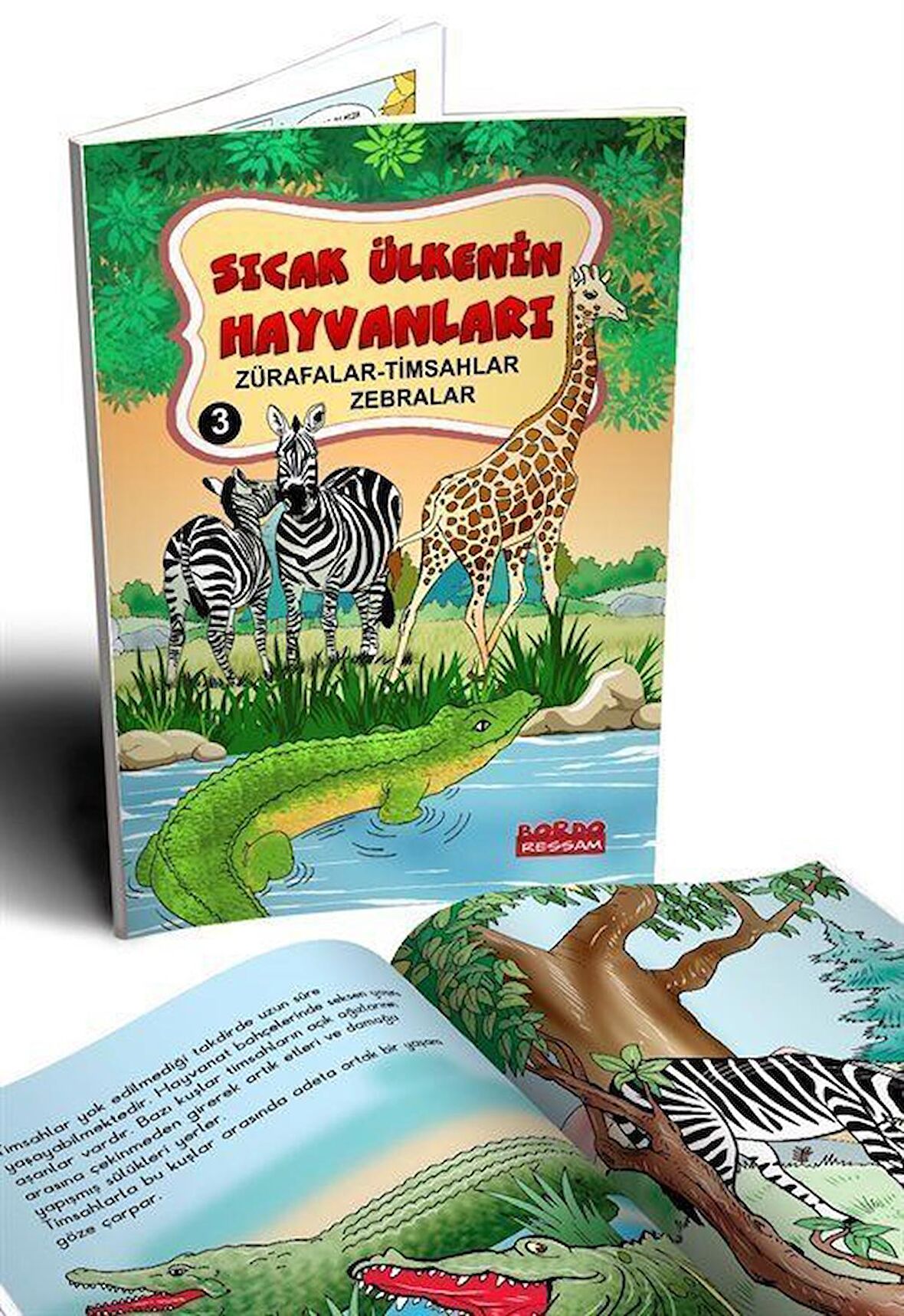 Sıcak Ülkenin Hayvanları 3 Zürafalar-Timsahlar-Zebralar