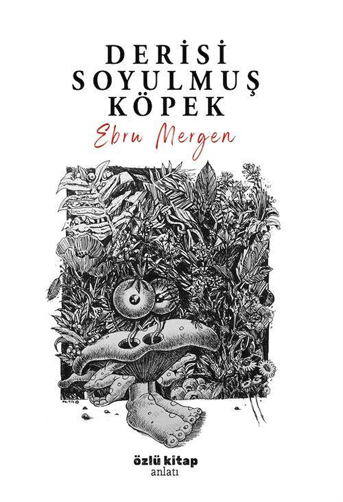 Derisi Soyulmuş Köpek / Ebru Mergen