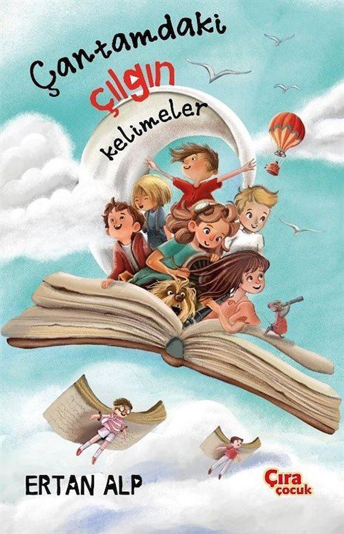 Çantamdaki Çılgın Kelimeler / Ertan Alp