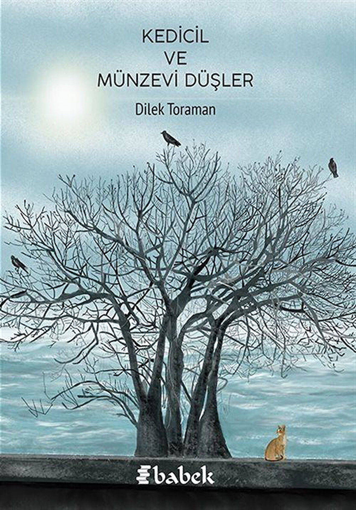 Kedicil ve Münzevi Düşler / Dilek Toraman