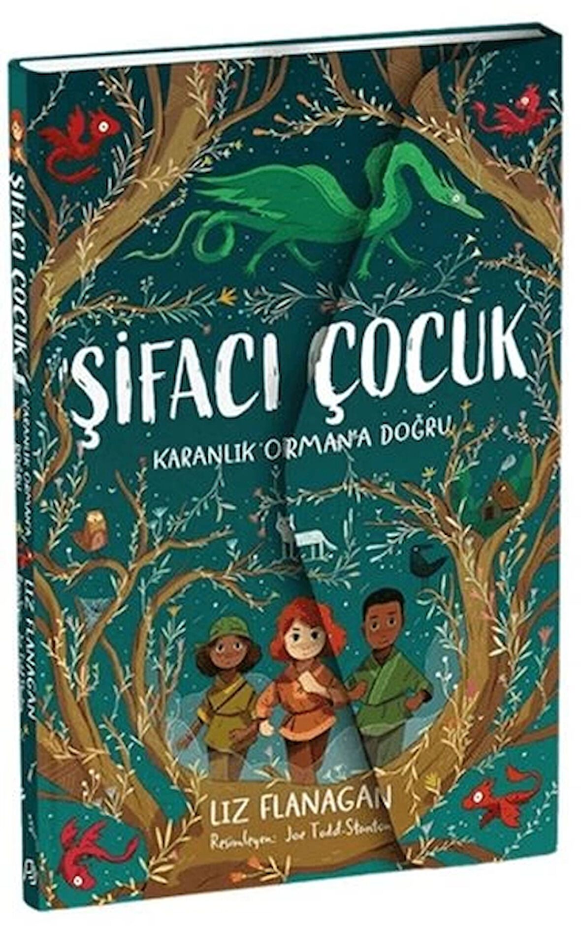 Şifacı Çocuk 1 - Karanlık Orman'a Doğru (3 Boyutlu Kapak)