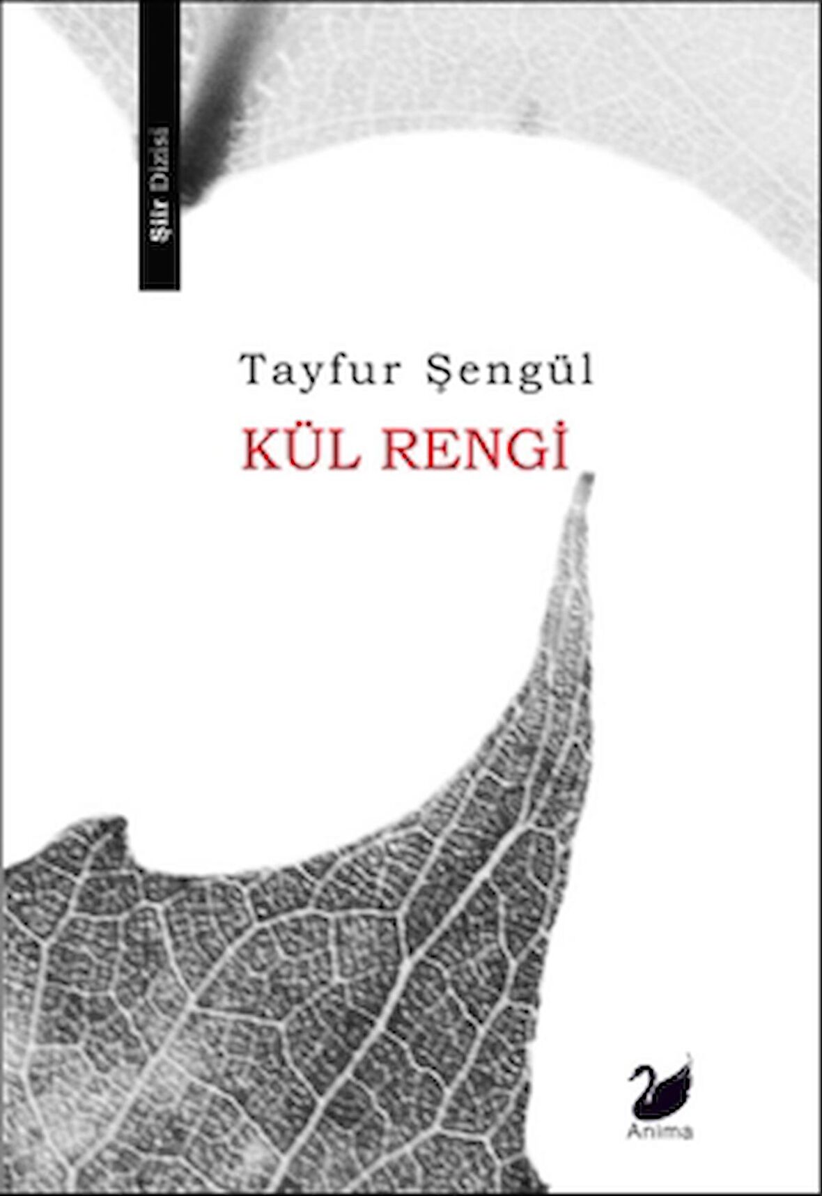 Kül Rengi