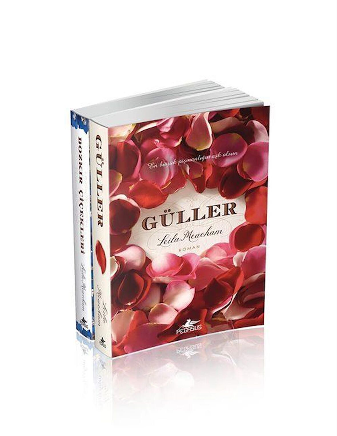 Leila Meacham Kitapları Takım Set (2 Kitap) / Leila Meacham