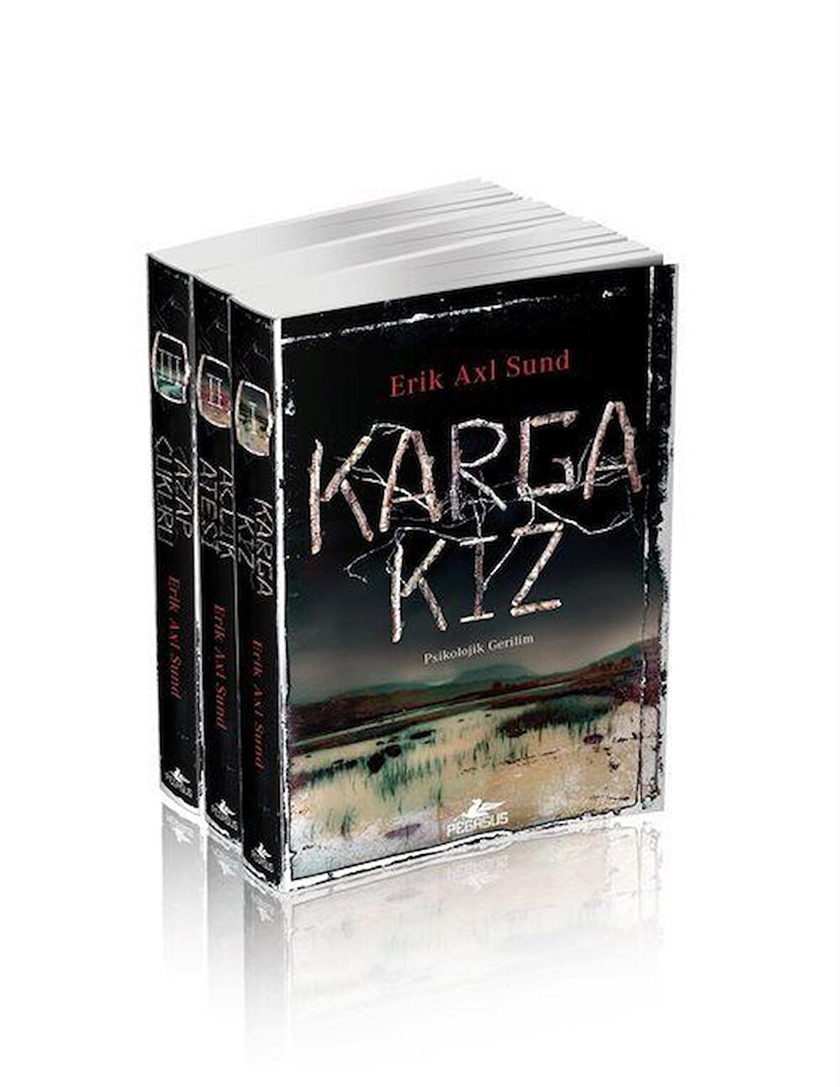 Karga Kız Serisi Takım Set (3 Kitap) / Erik Axl Sund