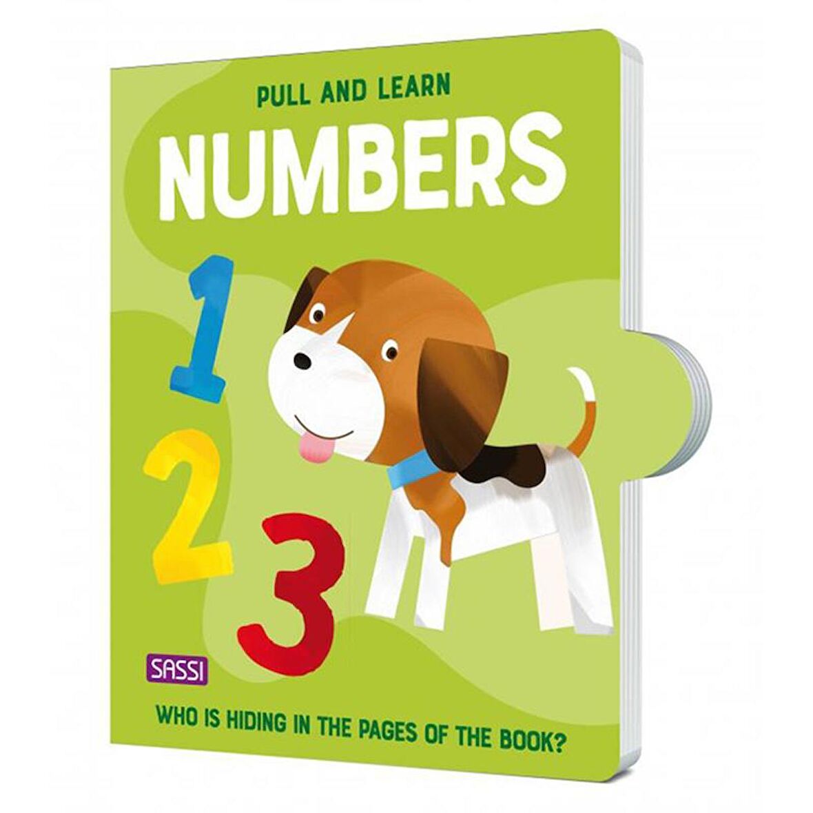 Sassi Pull and Learn Numbers