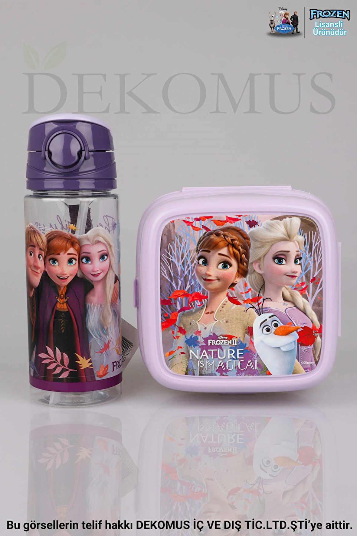 LİSANSLI ELSA FROZEN "BESLENME KABI VE 500 ML TRITAN MATARA SETİ