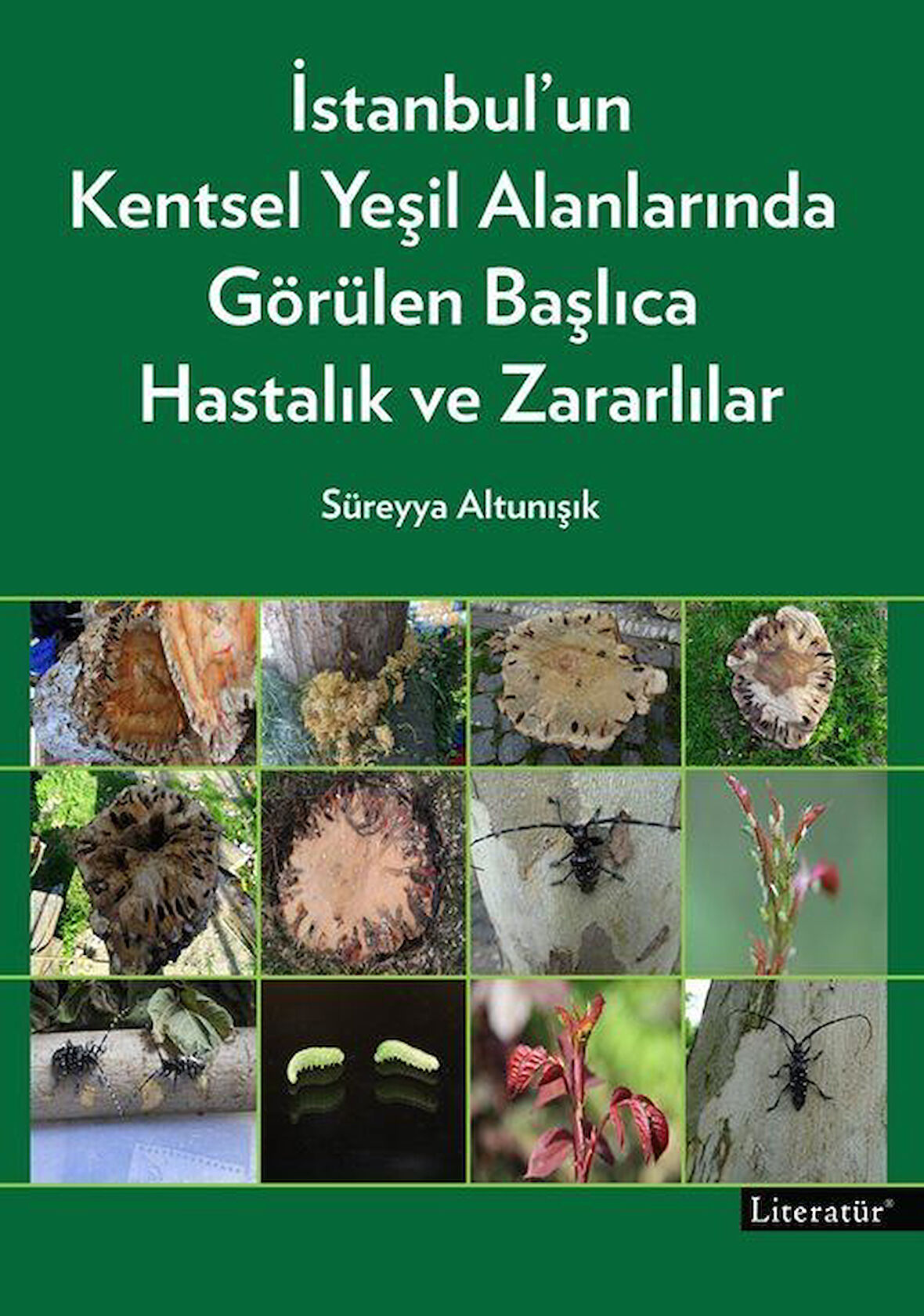 İstanbul'un Kentsel Yeşil Alanlarında Görülen Başlıca Hastalık ve Zararlılar / Süreyya Altunışık