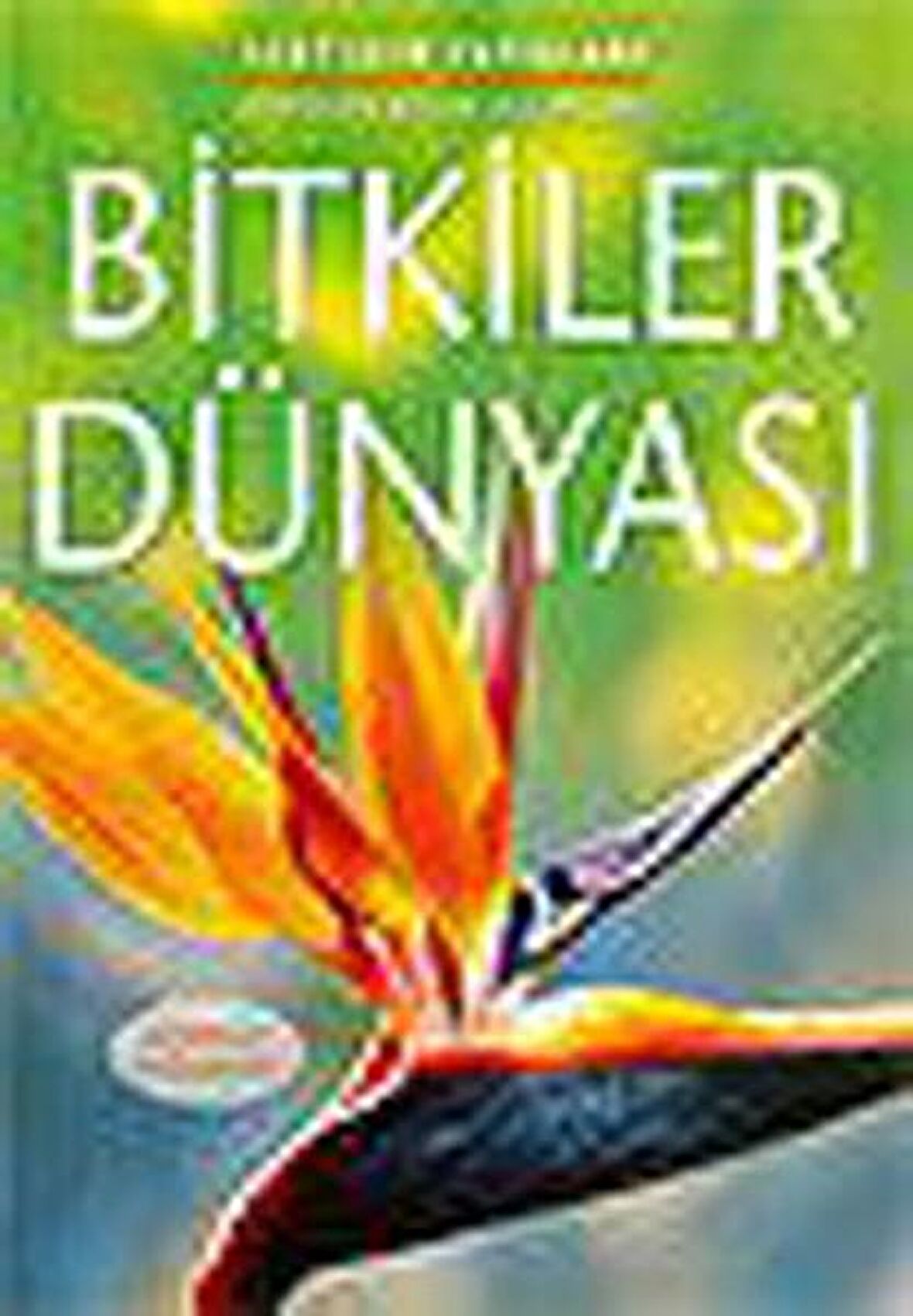 Bitkiler Dünyası