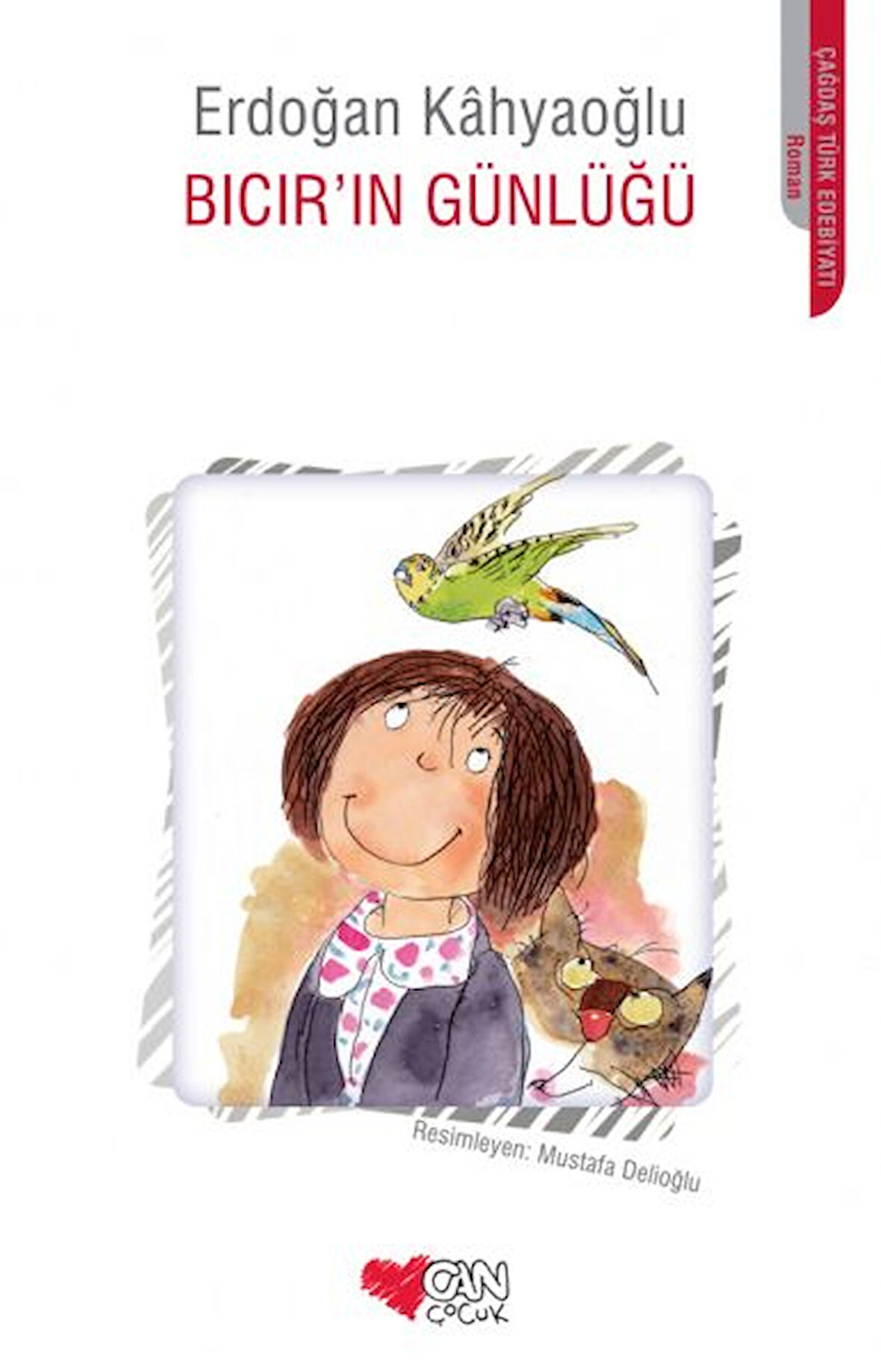Kitap: Bıcır’ın Günlüğü