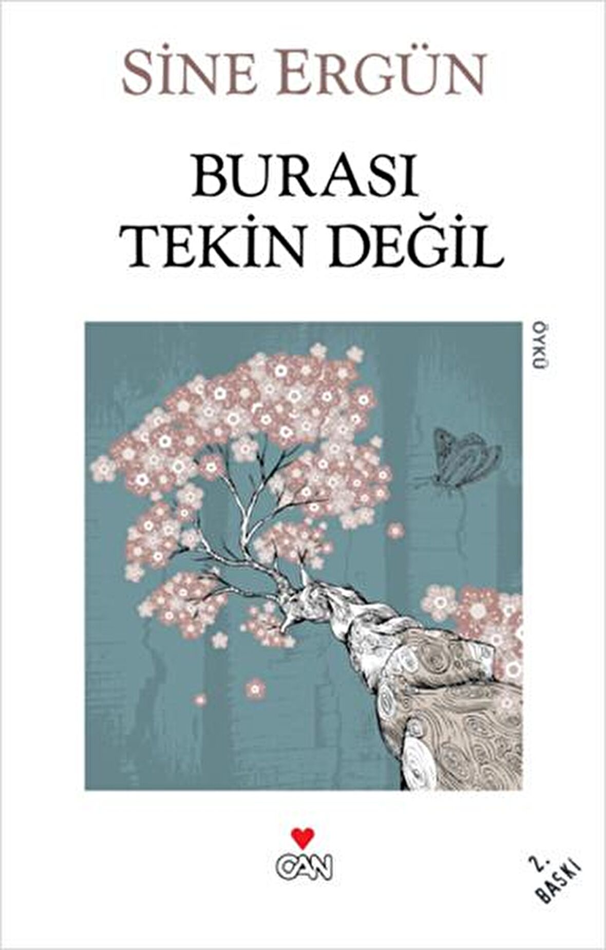 Burası Tekin Değil