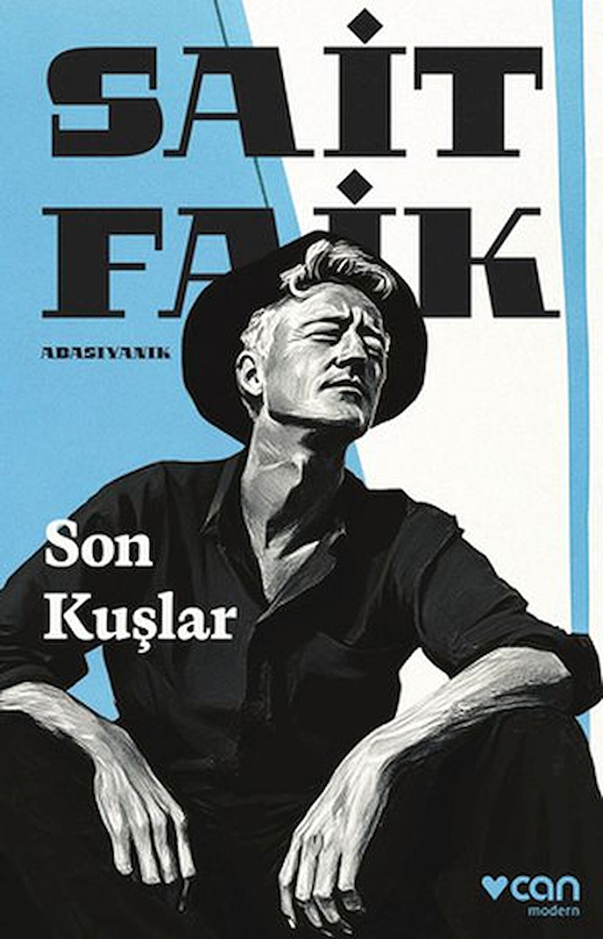 Kitap: Son Kuşlar