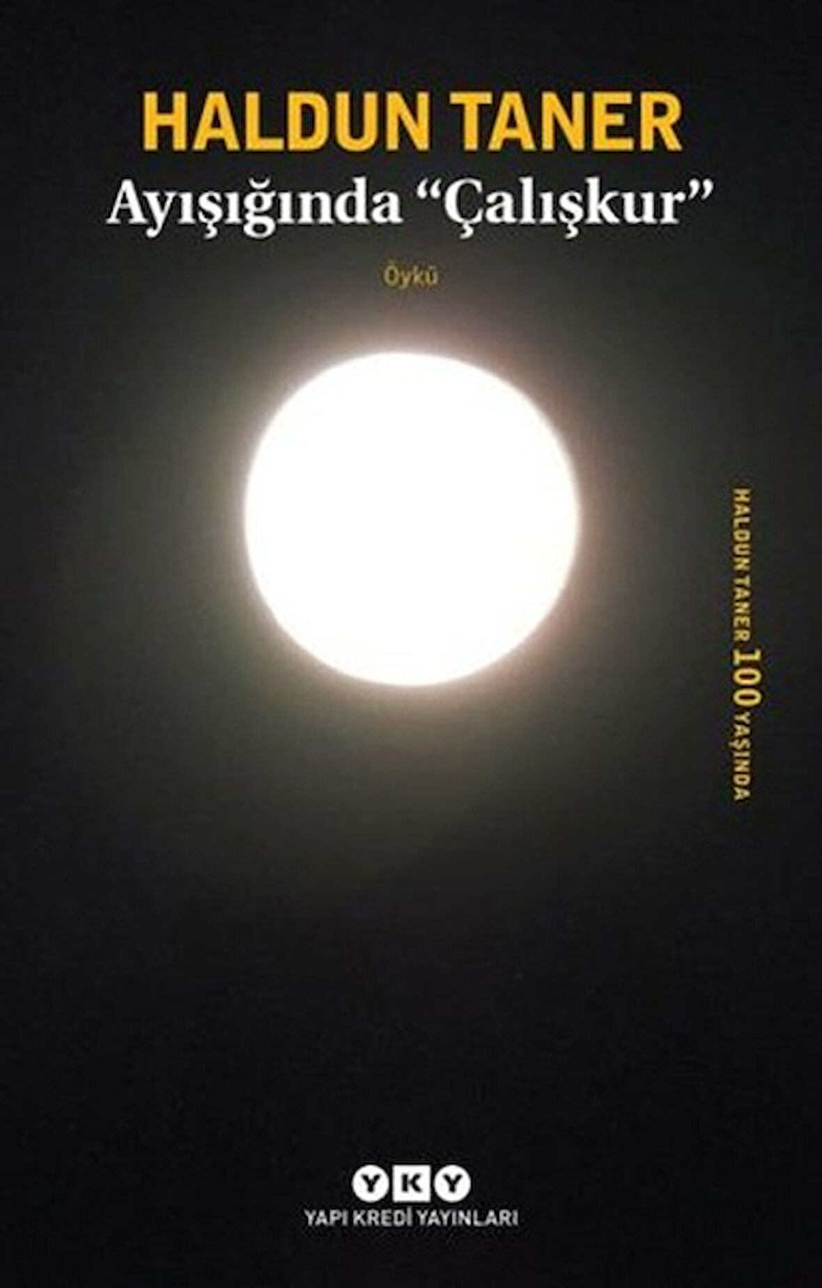 Kitap: Ayışığında Çalışkur