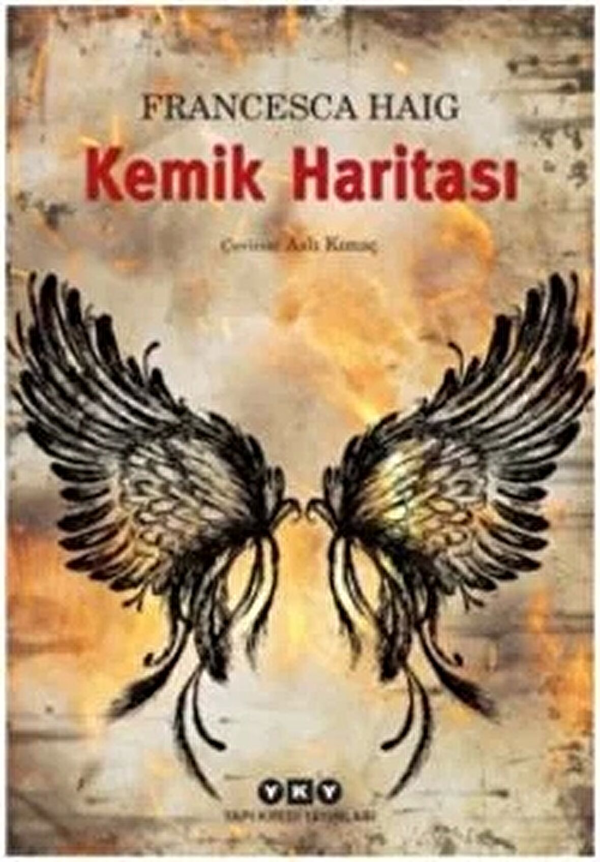 Kemik Haritası