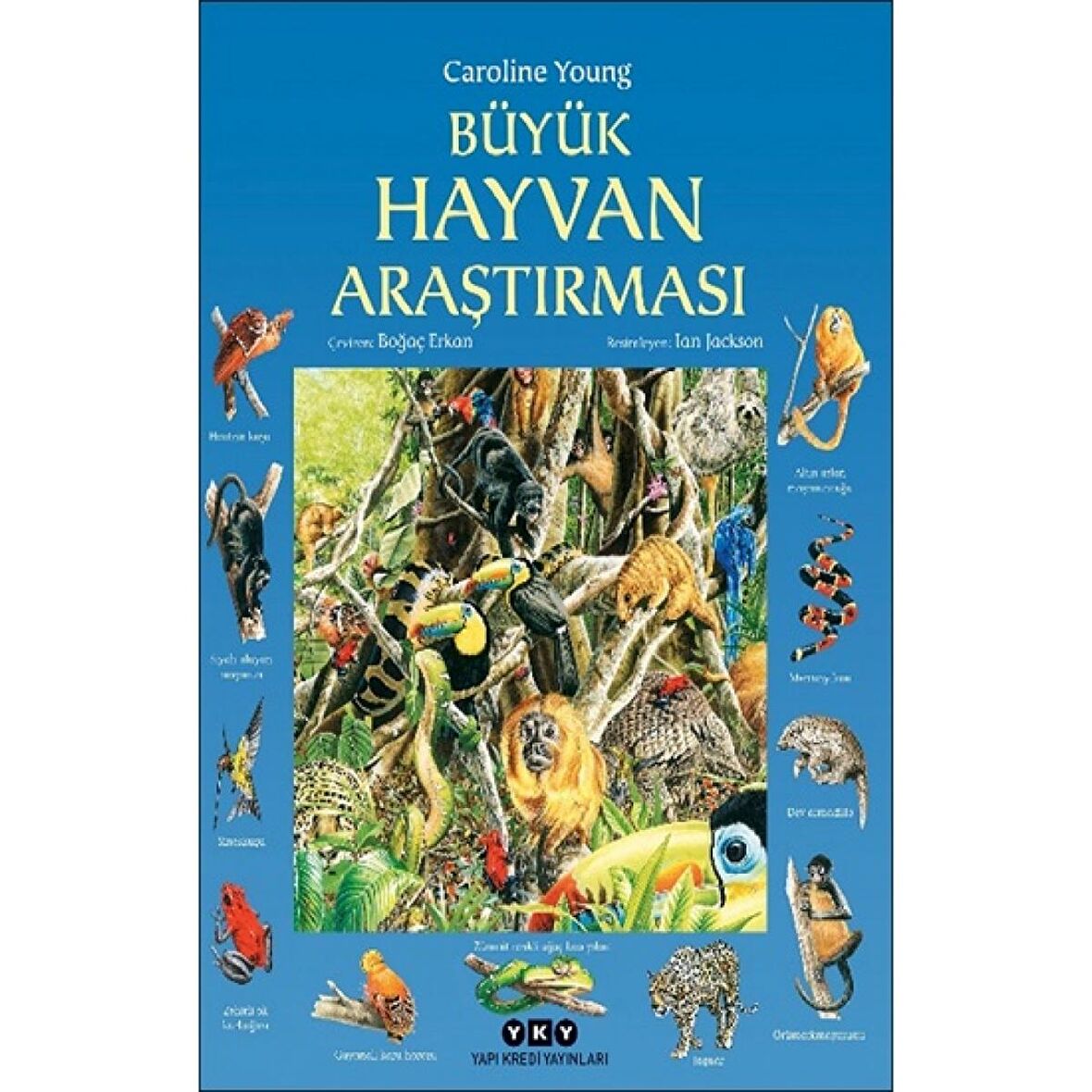 Büyük Hayvan Araştırması