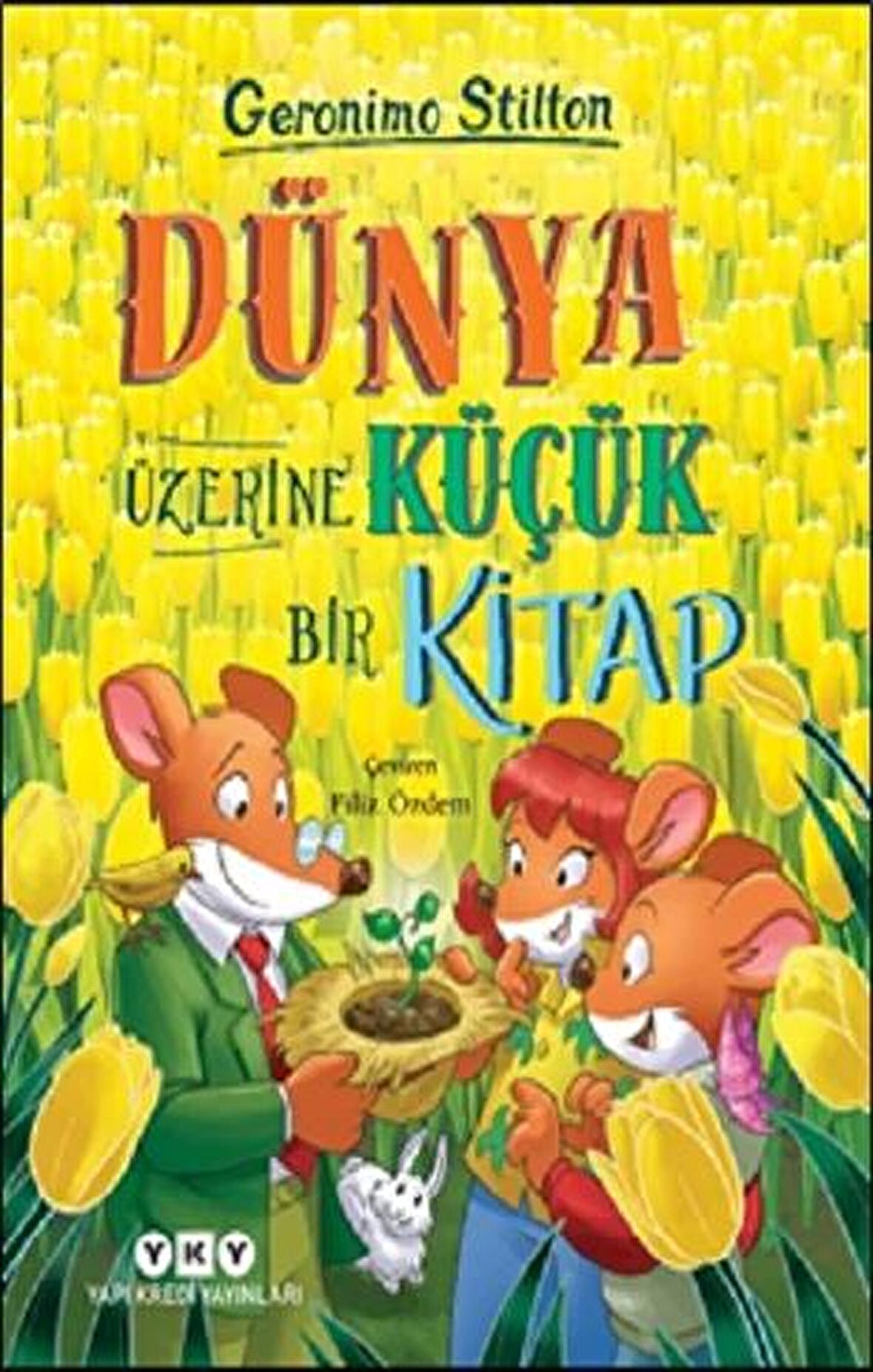 Dünya Üzerine Küçük Bir Kitap