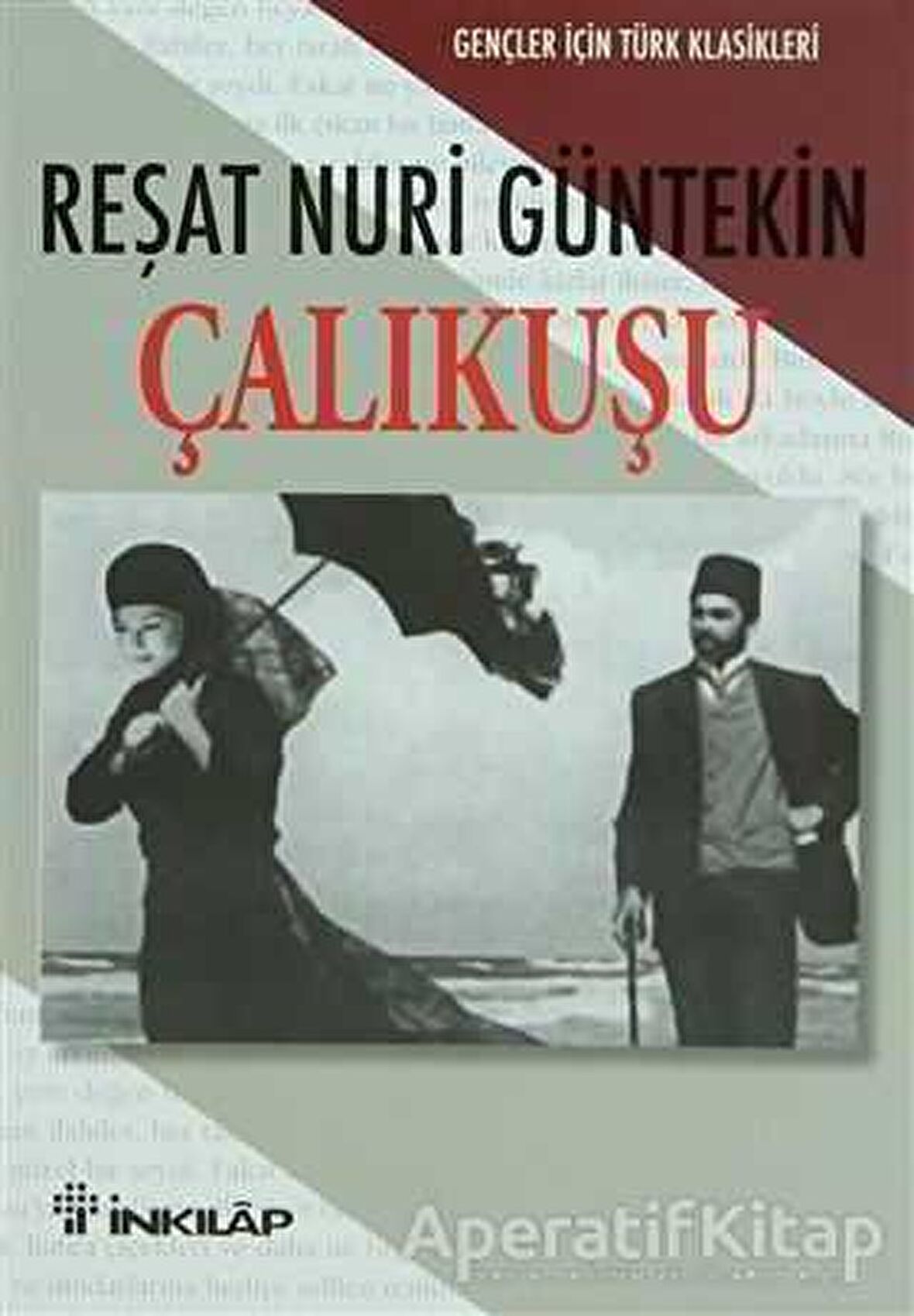 Çalıkuşu (Gençler İçin)