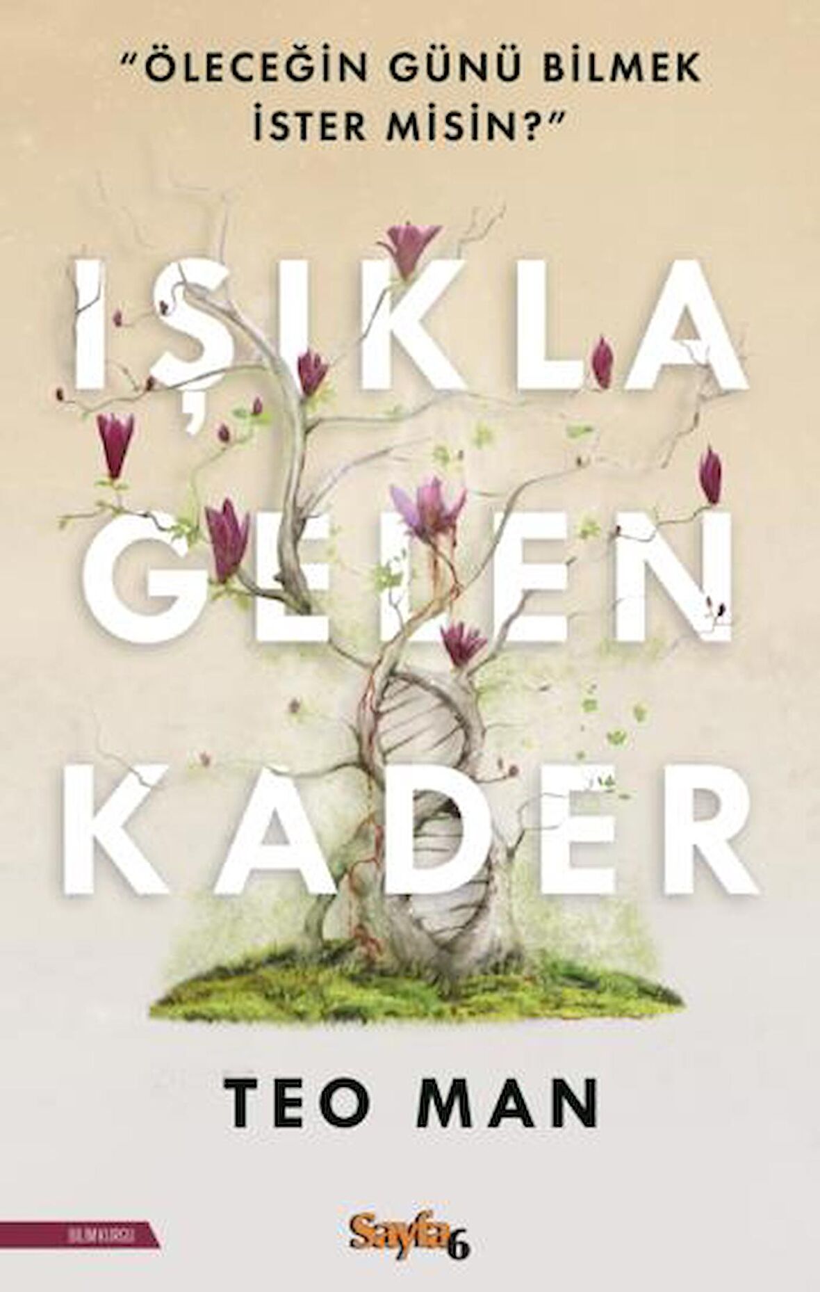 Işıkla Gelen Kader