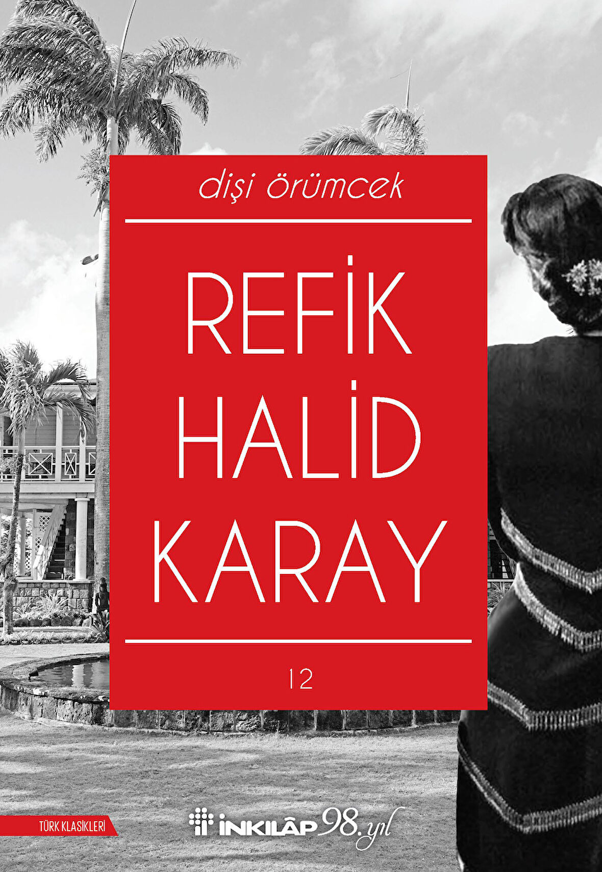 Dişi Örümcek ( Yeni Kapak )