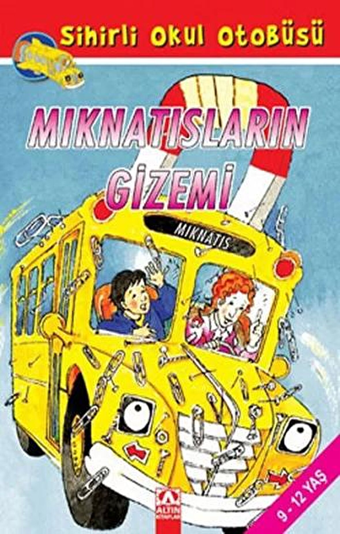 Mıknatısların Gizemi