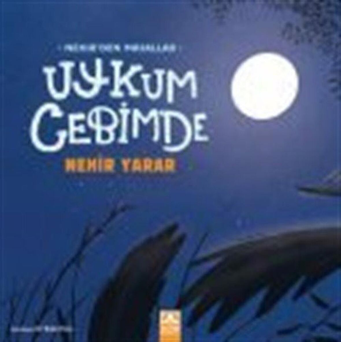 Uykum Cebimde