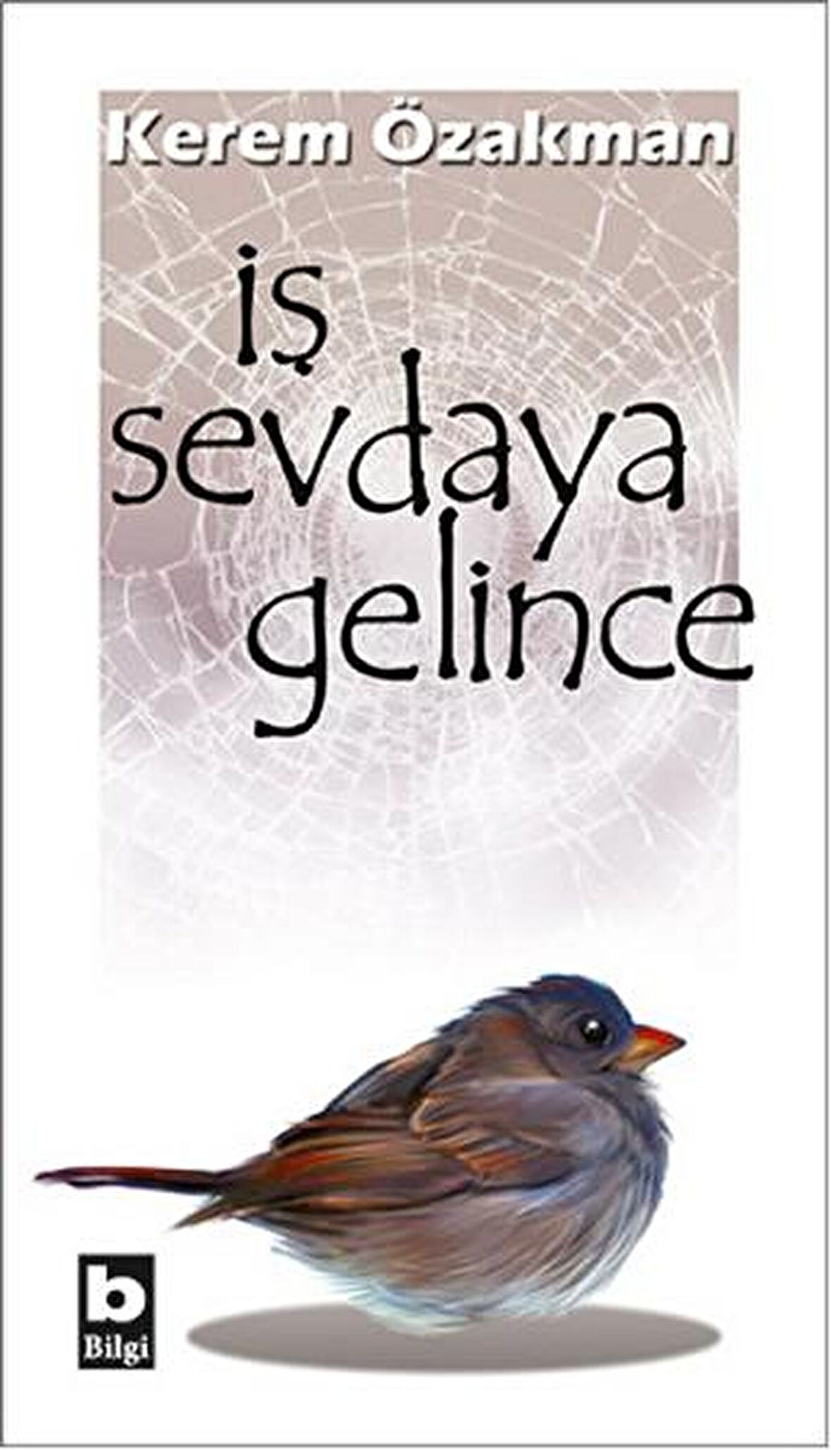 İş Sevdaya Gelince