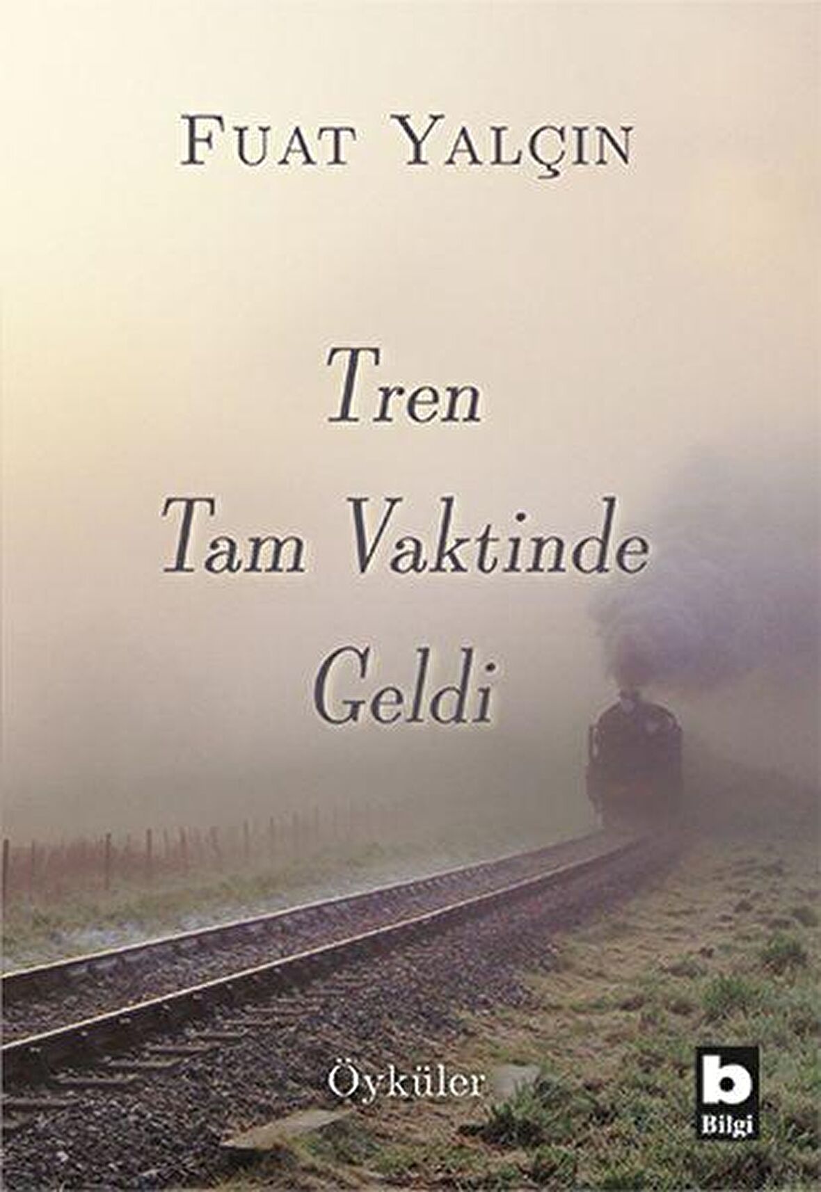 Tren Tam Vaktinde Geldi