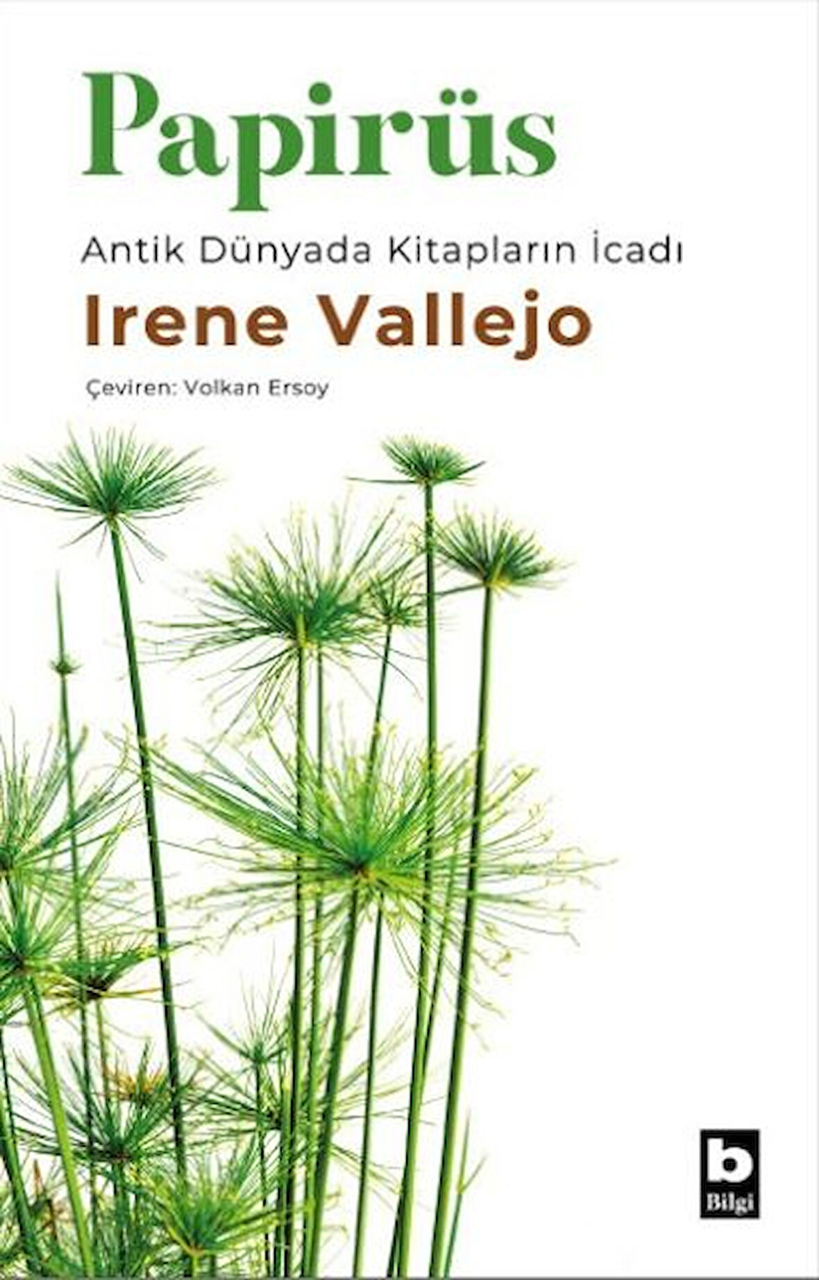 Kitap: Papirüs Antik Dünyada Kitapların İcadı