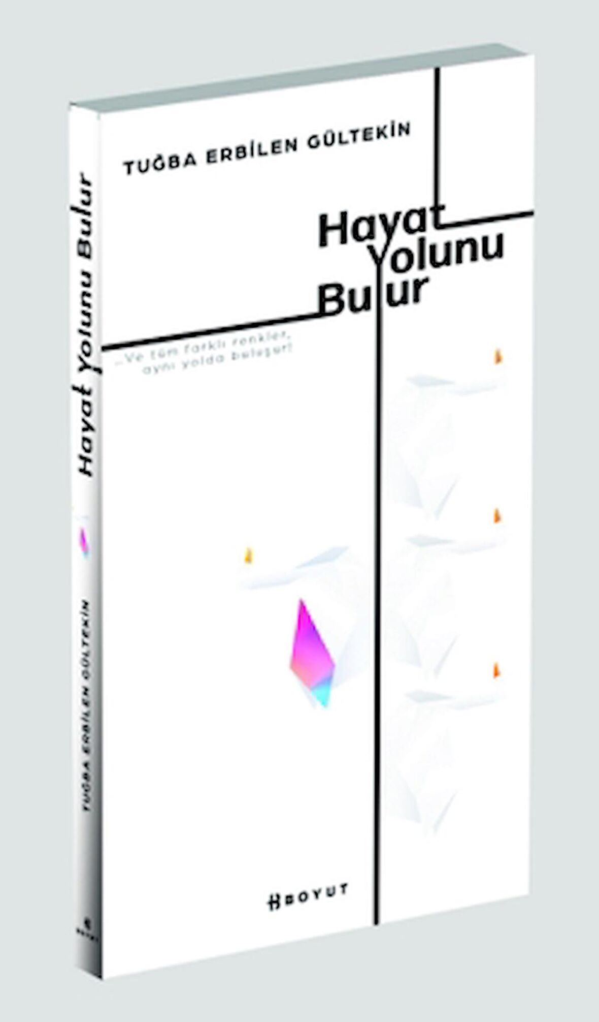 Hayat Yolunu Bulur