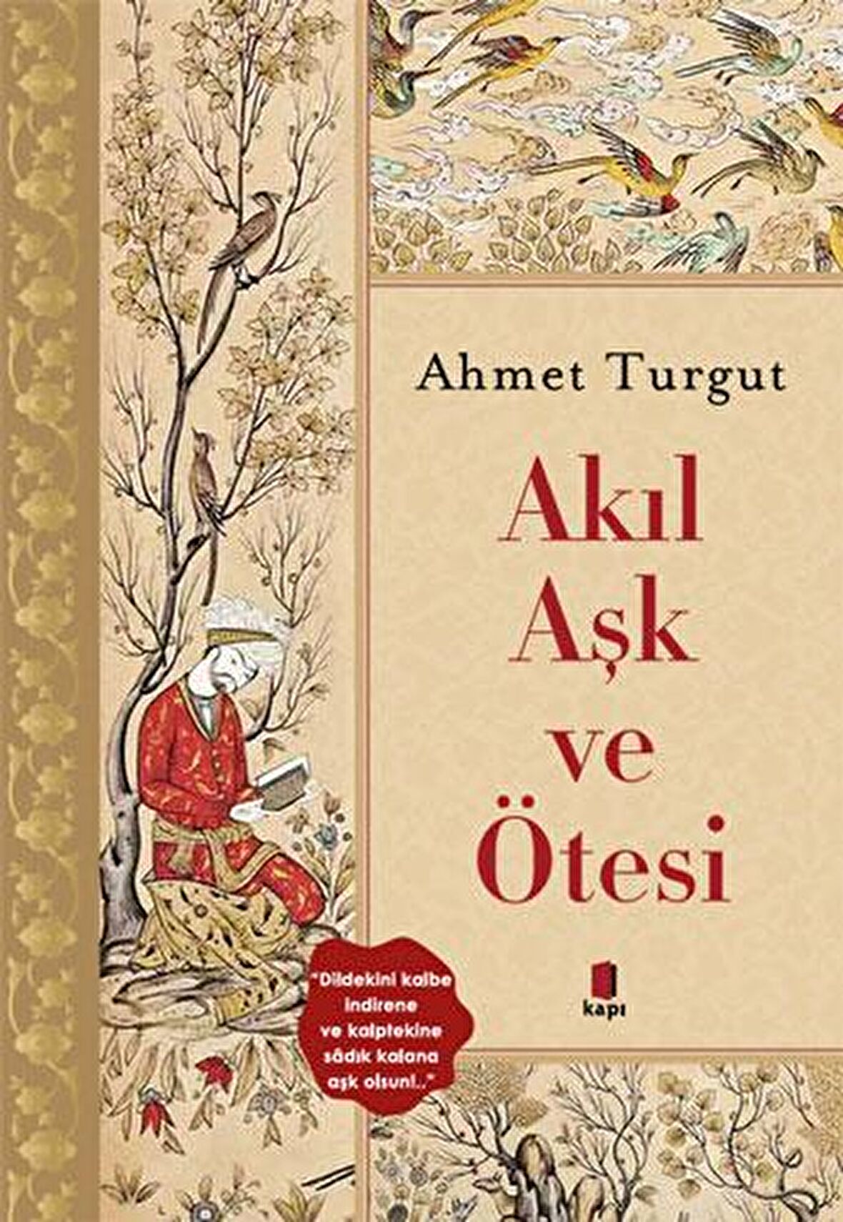 Akıl Aşk ve Ötesi