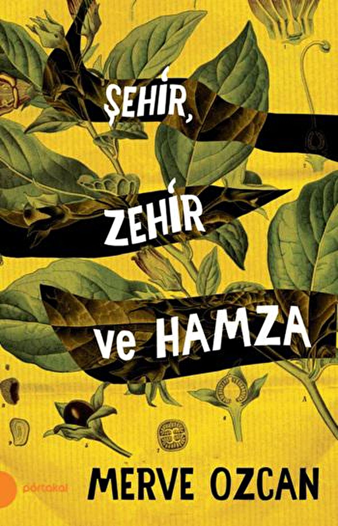 Şehir Zehir ve Hamza